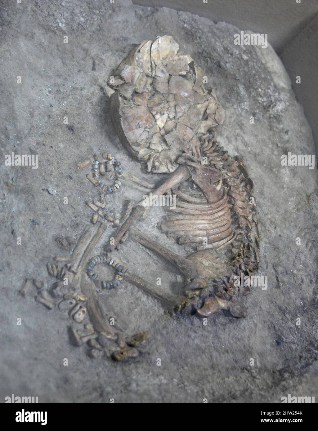 Squelette d'un bébé, enterrement néolithique de nourrisson avec des articles de tombe, Catalhoyuk, datant de 9 500 ans, Cumra, Turquie Banque D'Images