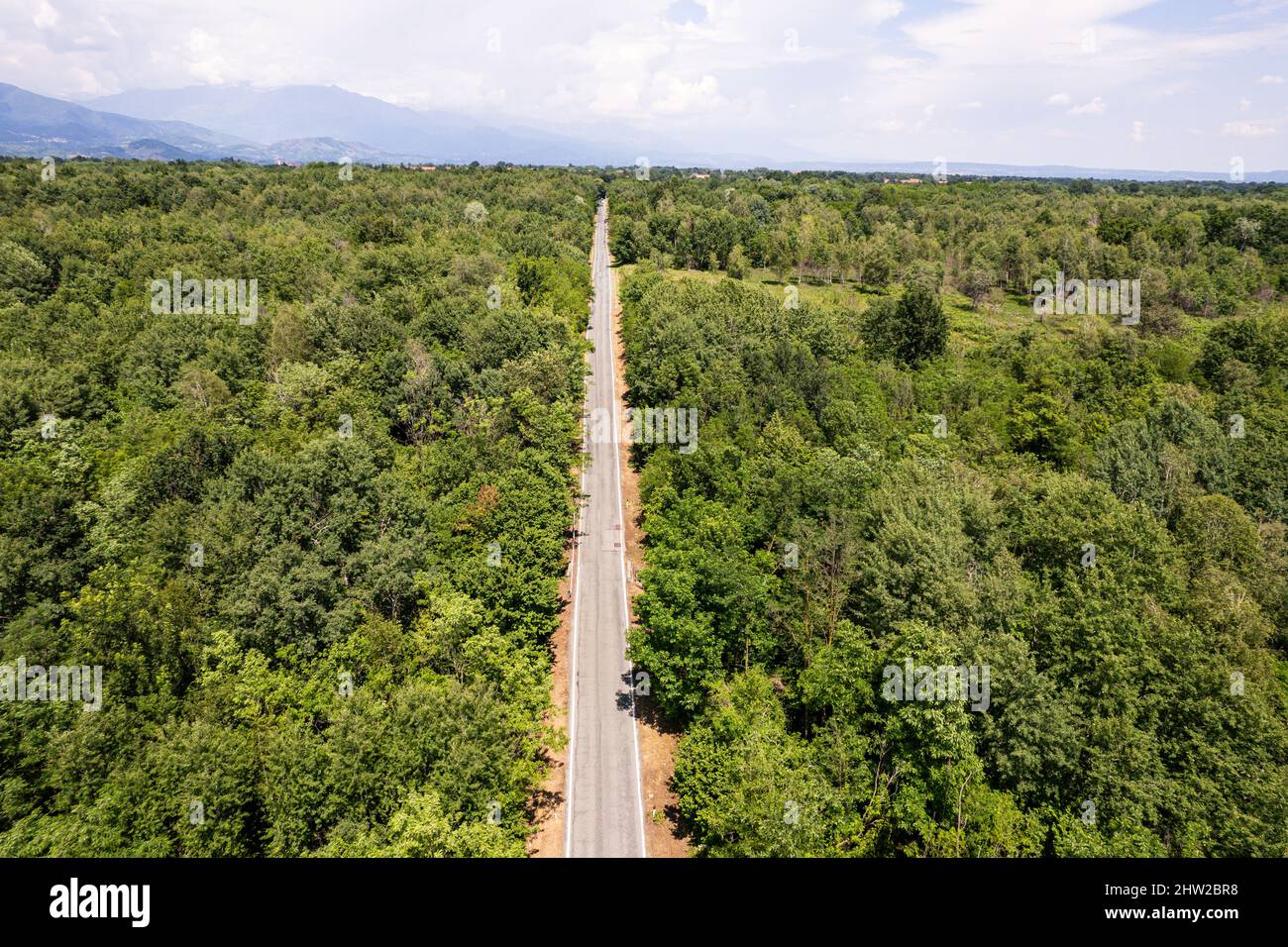 Vue aérienne d'une route au milieu de la forêt Banque D'Images