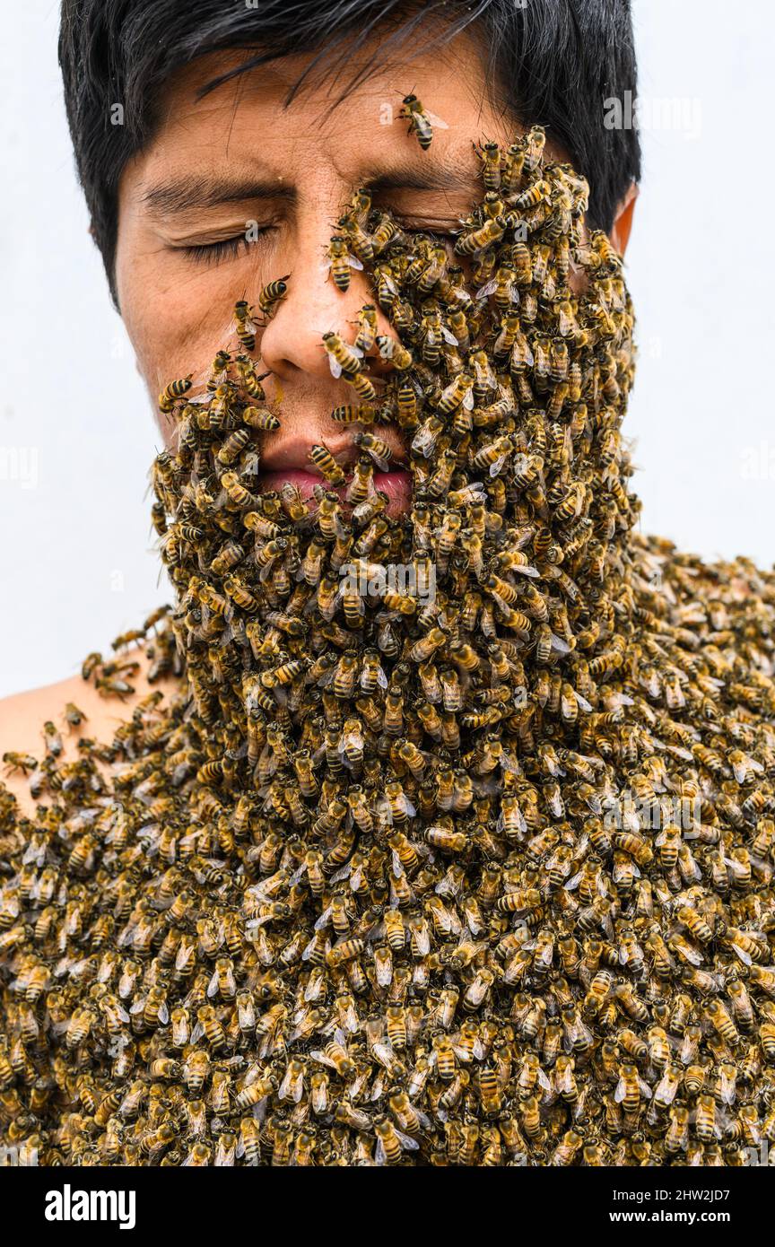 Un apiculteur couvert d'abeilles, traitement des abeilles Banque D'Images