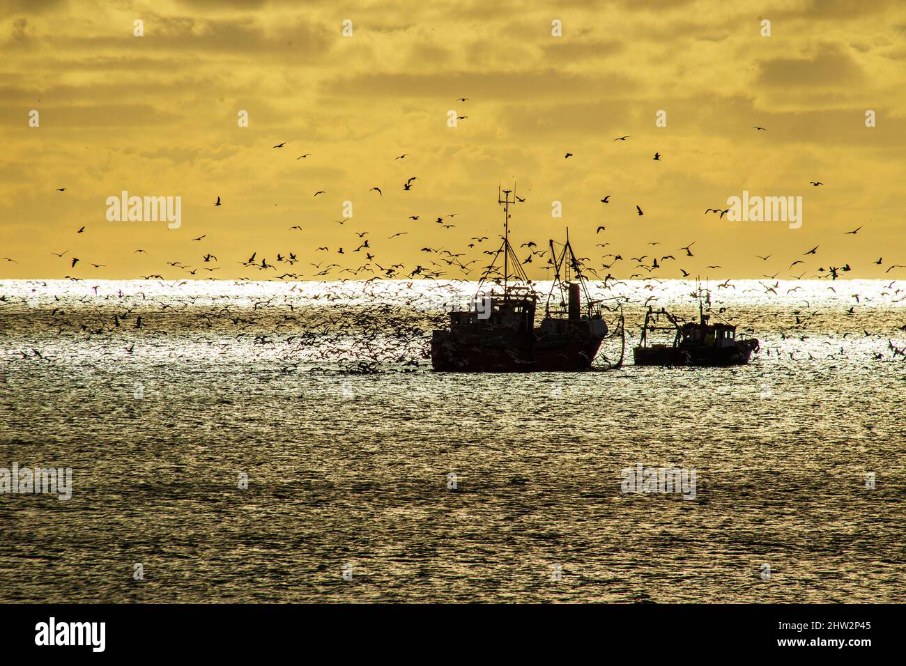 Deux bateaux de pêche transportent leurs filets tandis que des troupeaux de mouettes tourbillonnent au-dessus du bateau Banque D'Images