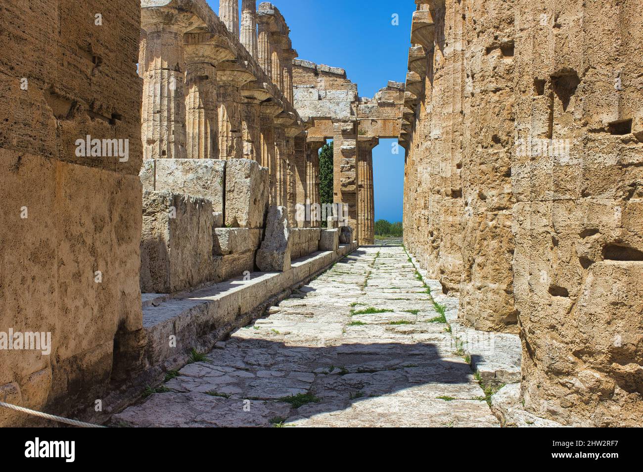 Le magnifique complexe archéologique de Paestum, Salerno, Campanie, Italie Banque D'Images