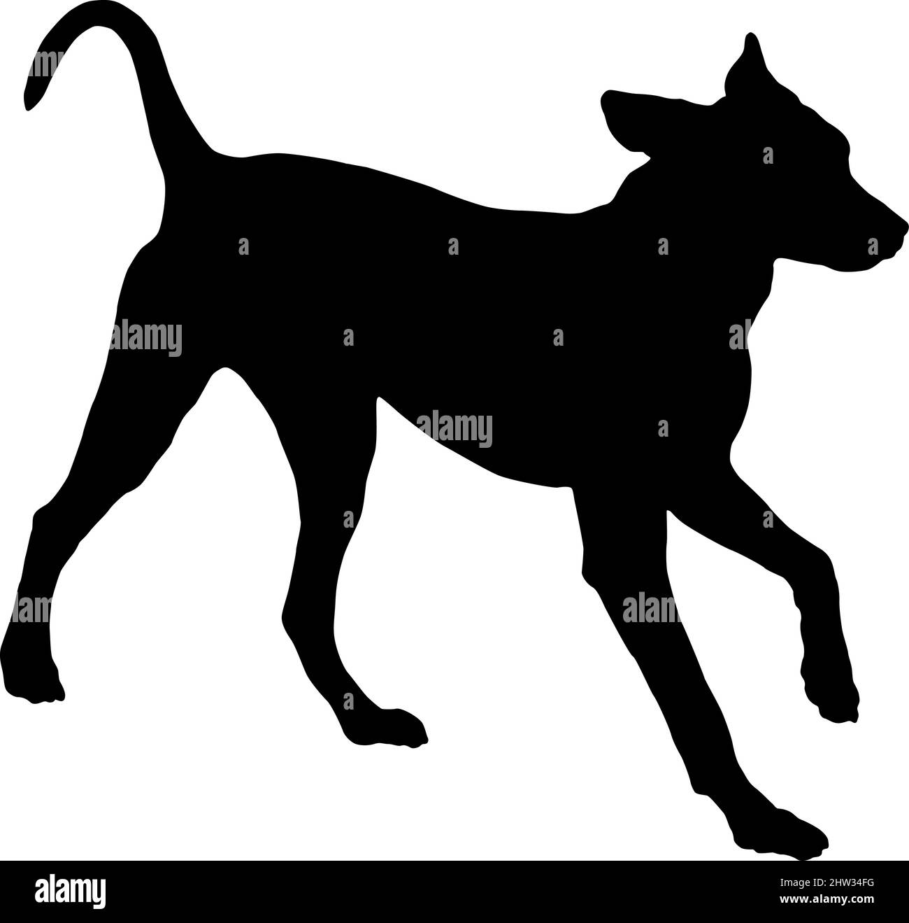 Chien de course à pied de dalmatie chiot. Silhouette de chien noire. Animaux de compagnie. Isolé sur un fond blanc. Illustration vectorielle. Illustration de Vecteur Chien de course à pied de dalmatie chiot. Silhouette de chien noire. Animaux de compagnie. Isolé sur un fond blanc. Illustration vectorielle. Illustration de Vecteur