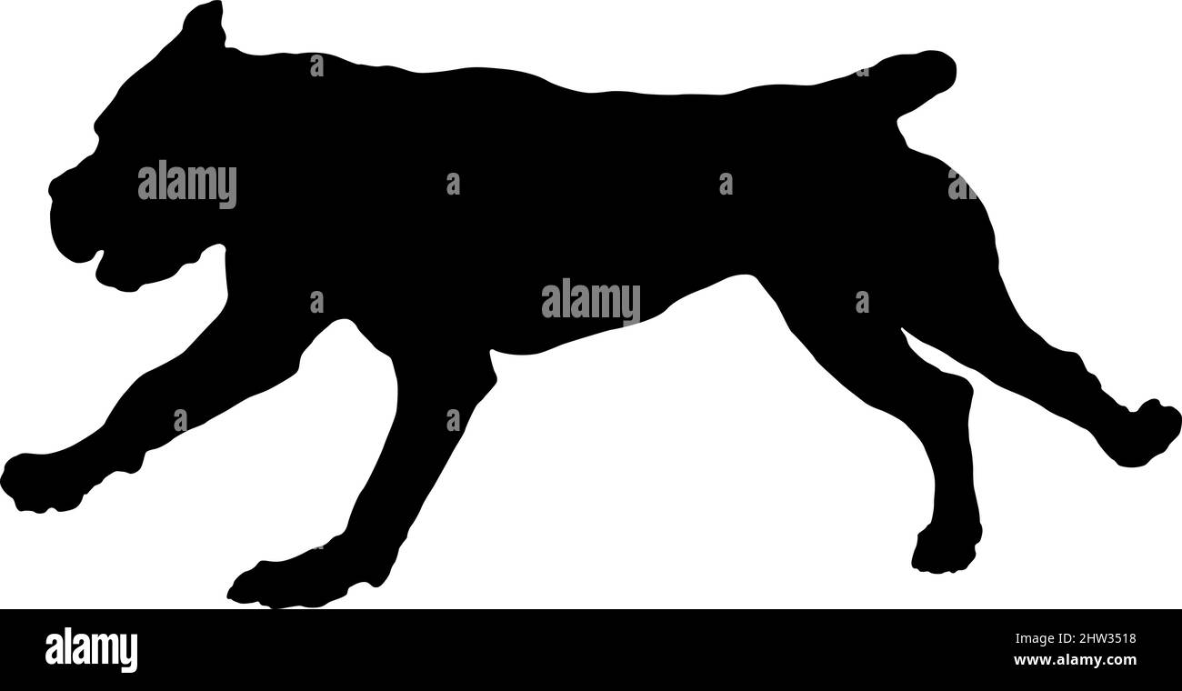 Chiot à la course du mastiff italien. Silhouette de chien noire. Canne corso italiano ou chien italien corso. Animaux de compagnie. Isolé sur un fond blanc. Vecteur. Illustration de Vecteur