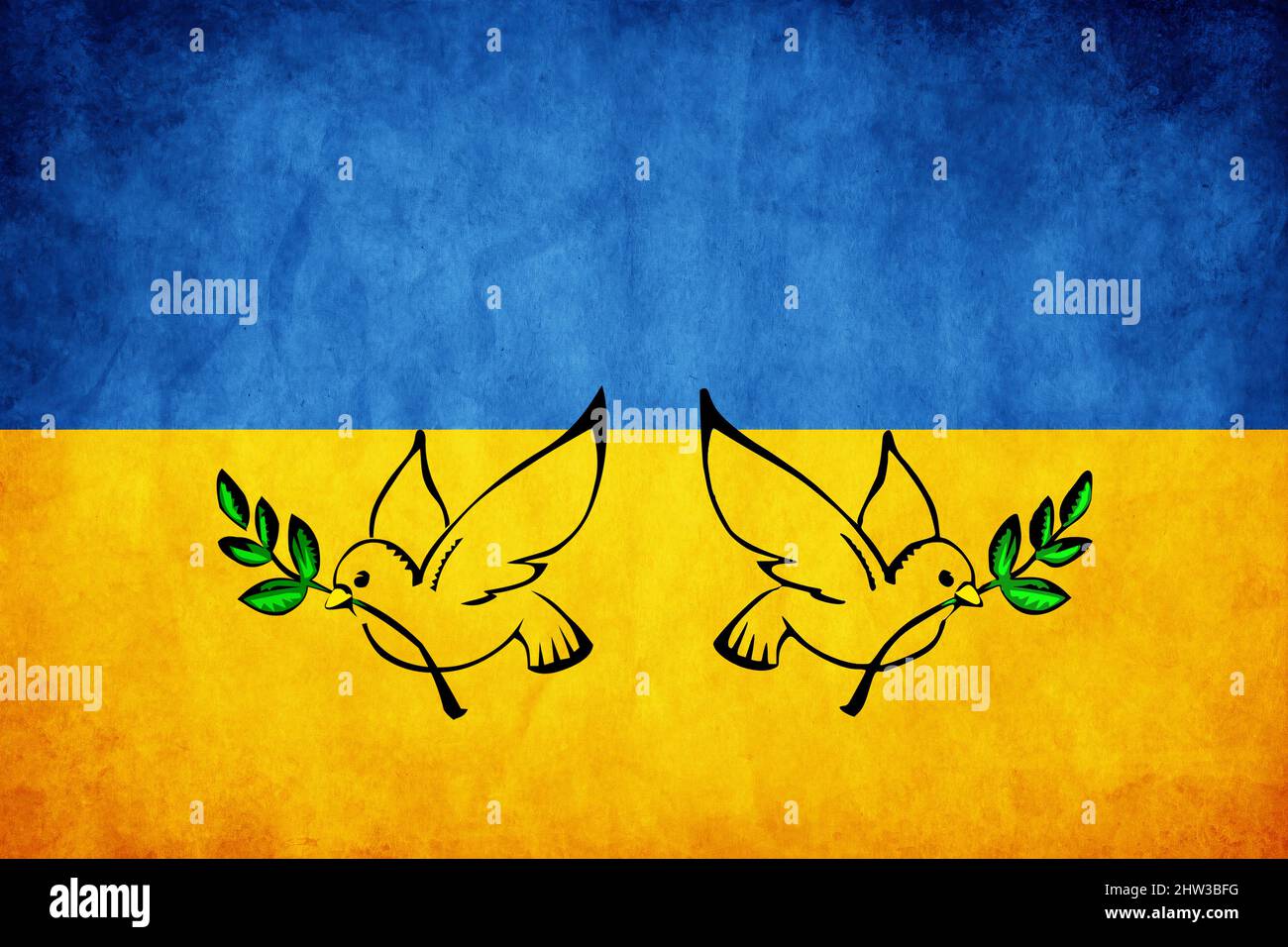 Silhouette de colombe de paix avec tige d'olivier sur le drapeau de l'ukraine Banque D'Images