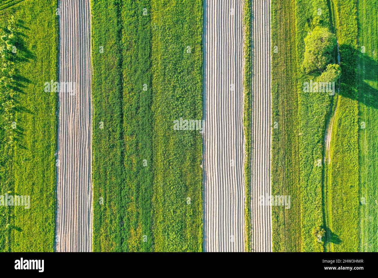Les terres de labour sillons pour planter les plantes agronomiques parmi la campagne d'herbe et les prés des arbres, vue aérienne d'en haut Banque D'Images