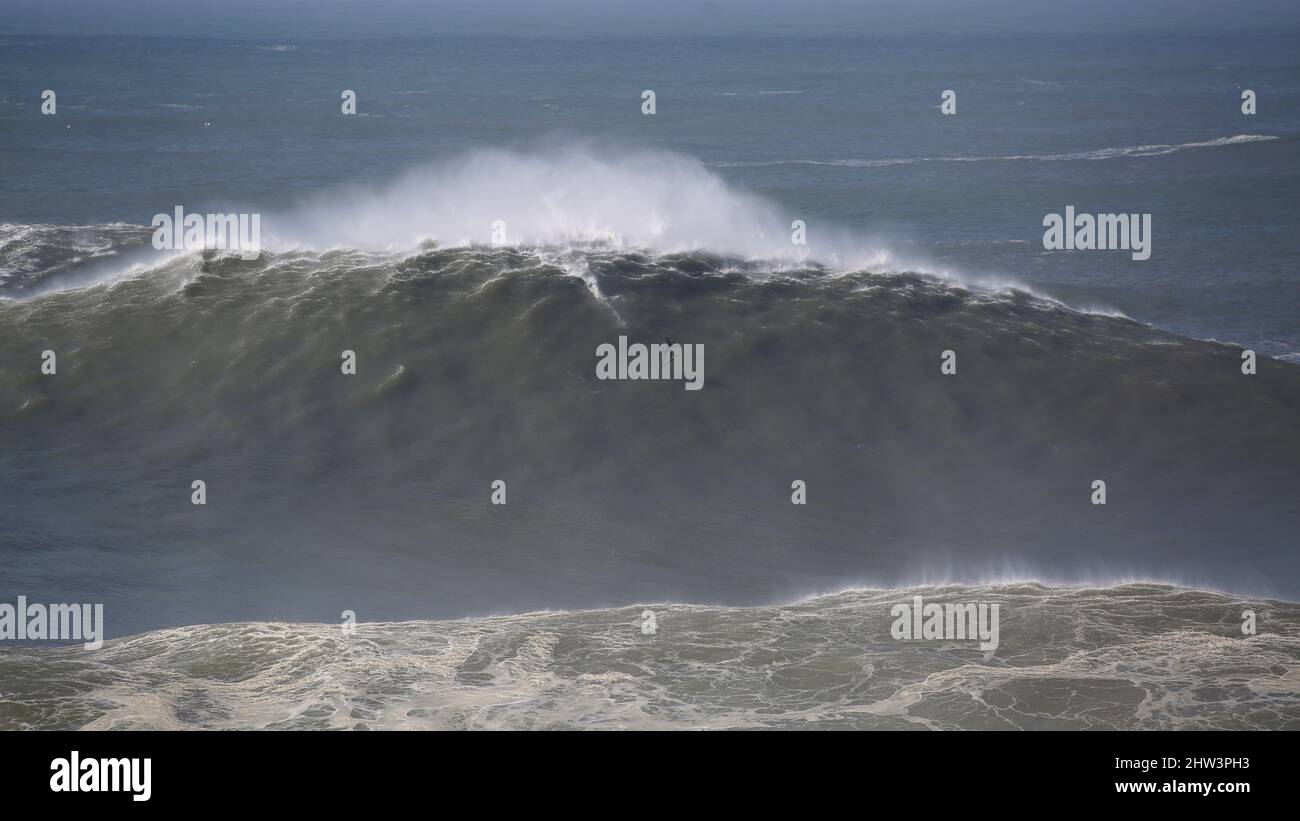 Lucas Chumbo bondissant en descendant la face d'une gigantesque vague à North Beach (Praia do Norte), Nazaré, Portugal. Banque D'Images