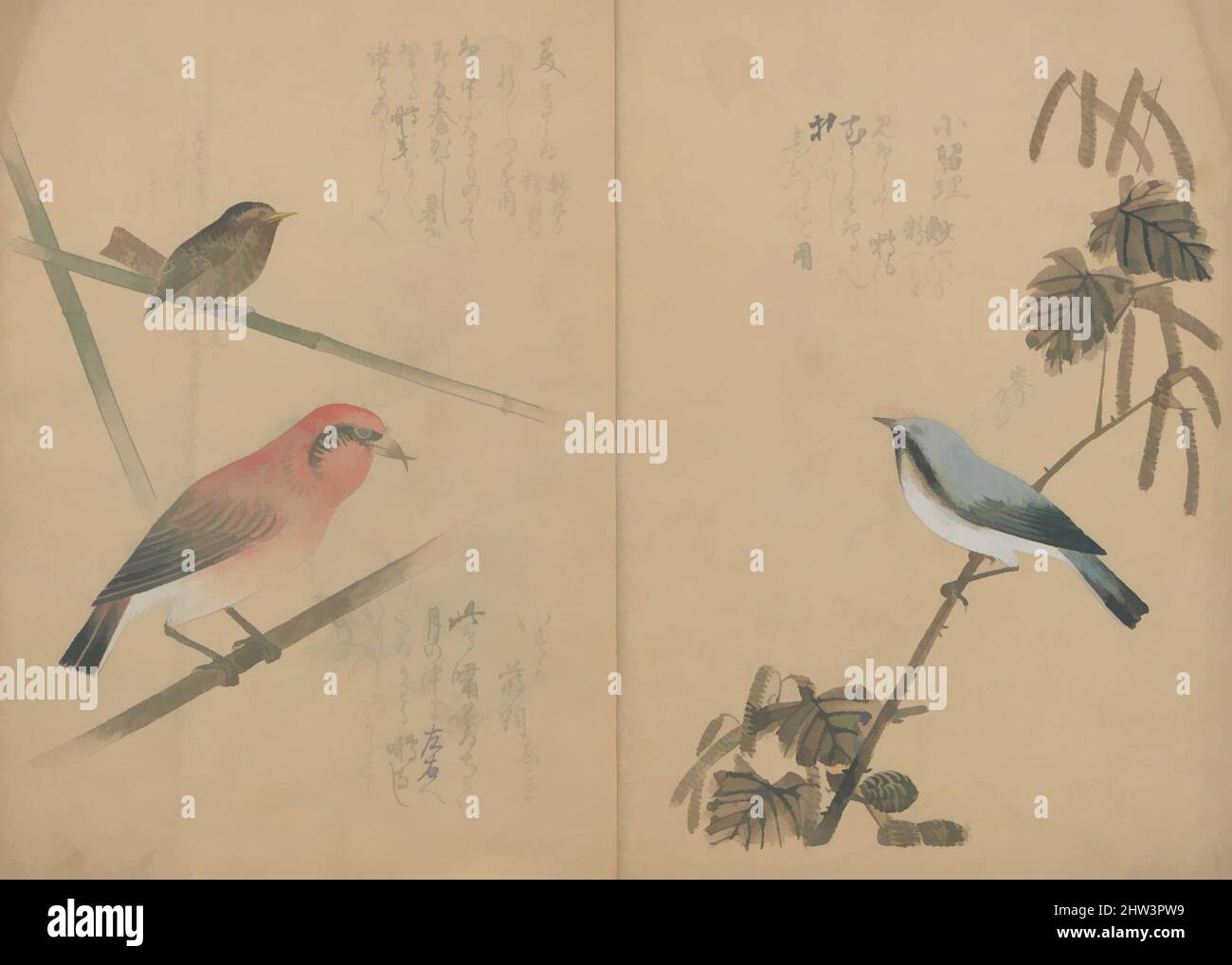 Art inspiré par Kotori Ruishō, Compendium des petits oiseaux, époque Edo (1615–1868), 1836, Japon, livre imprimé en polychrome, 10 1/2 × 7 3/4 × 1/4 po. (26,7 × 19,7 × 0,6 cm), Livres illustrés, Nantō (actif début du 19th siècle, oeuvres classiques modernisées par Artotop avec une touche de modernité. Formes, couleur et valeur, impact visuel accrocheur sur l'art émotions par la liberté d'œuvres d'art d'une manière contemporaine. Un message intemporel qui cherche une nouvelle direction créative. Artistes qui se tournent vers le support numérique et créent le NFT Artotop Banque D'Images