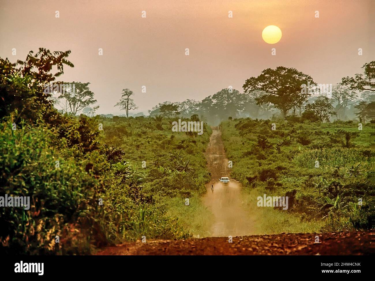 Route de la poussière à travers le brouet au Ghana, en Afrique de l'Ouest. Banque D'Images