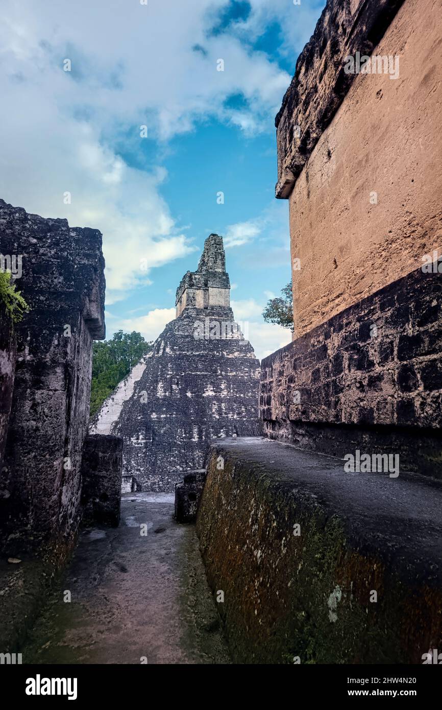 Temple I View, Parc national de Tikal, Petén, Guatemala Banque D'Images