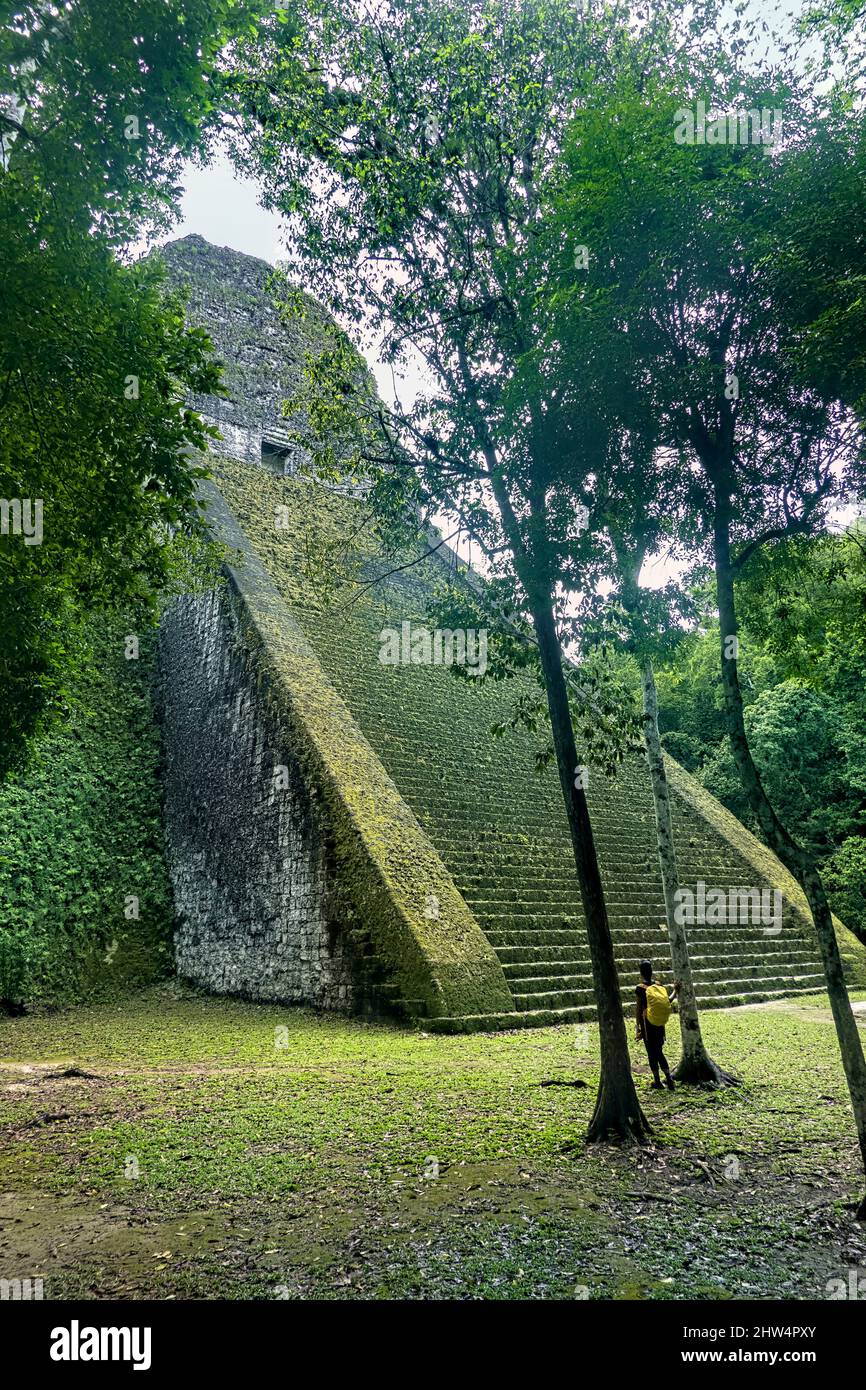 Observation du Temple V au parc national de Tikal, Petén, Guatemala Banque D'Images