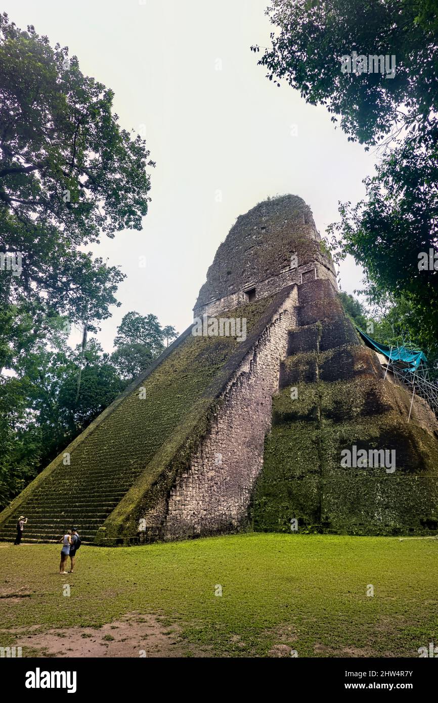 Observation du Temple V au parc national de Tikal, Petén, Guatemala Banque D'Images