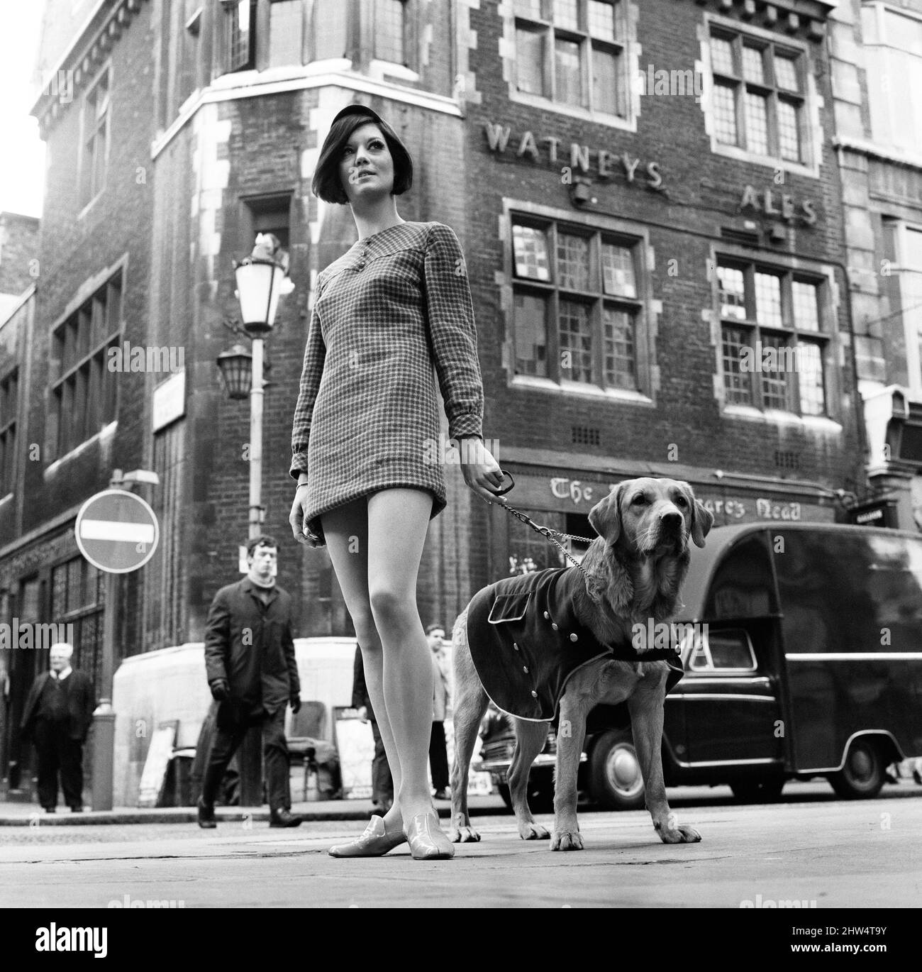 Model, Nicky Smith, avec Mod Dog Dusonofenhark le Labrador, en descendant la rue Carnaby, Londres, le 28th février 1967. Banque D'Images
