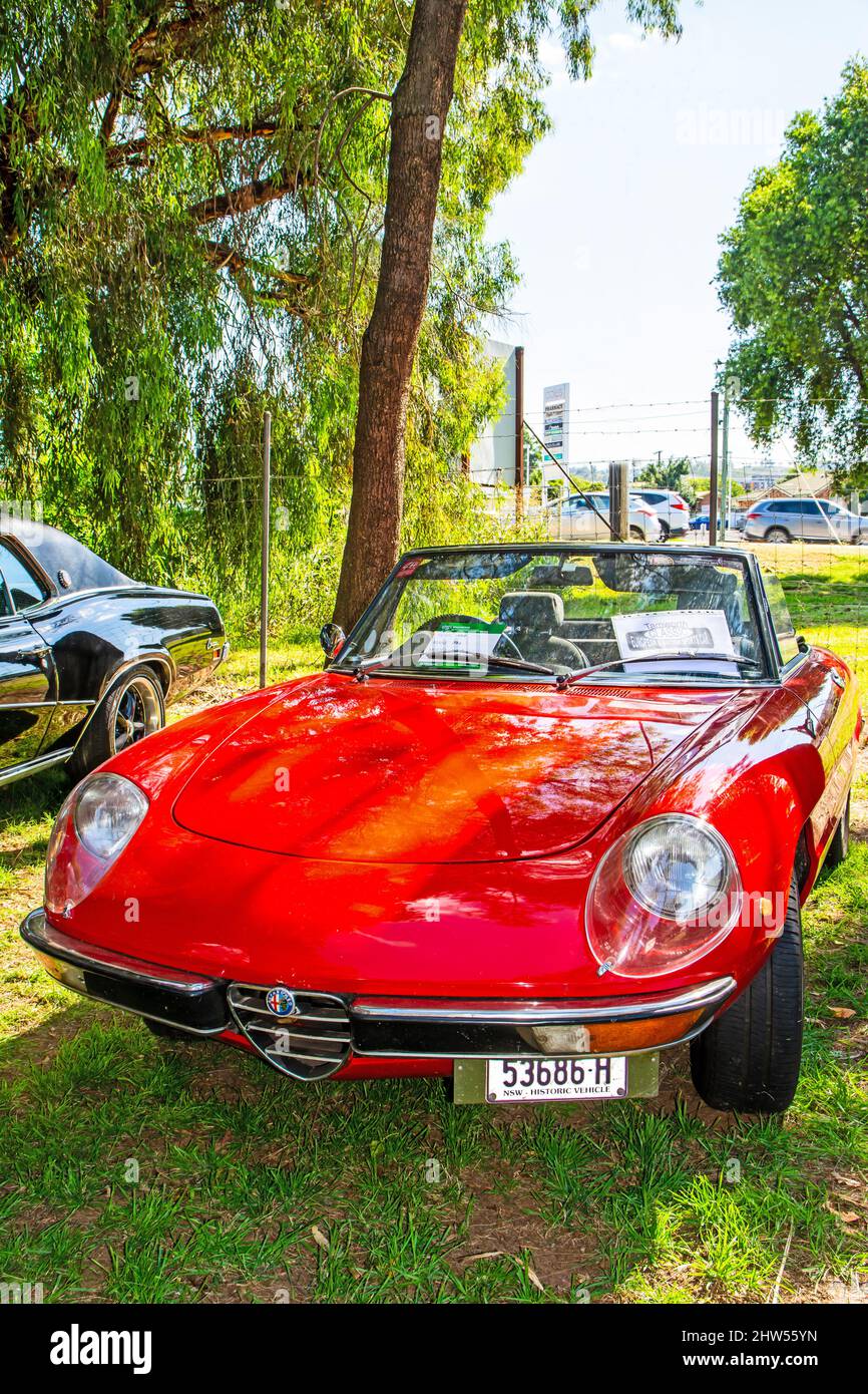 1972 Alfa Romeo Spider Veloce 2000 Raodster sportif sur displayat à Tamworth Australie. Banque D'Images
