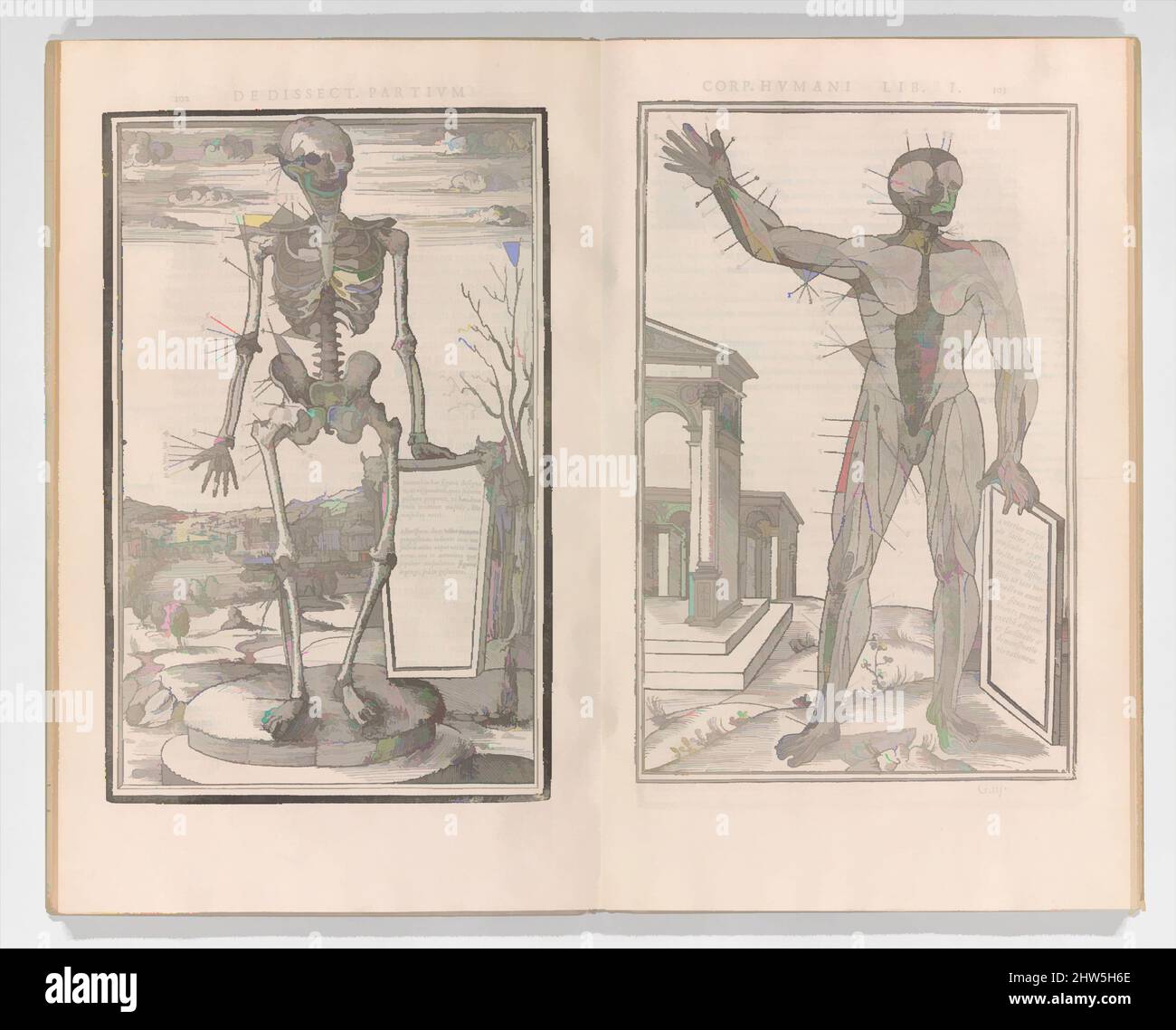 Art inspiré par de dissectione partium corporis humani libri tres, 1545, Woodcut, total: 14 1/8 x 9 3/16 x 1 5/16 po. (35,9 x 23,4 x 3,4 cm), Livres, peut-être Jean 'dure' Jollat (français, env. 1490 environ 1550), peut-être Estienne de la Rivière (France, Paris actif, mort 1569, oeuvres classiques modernisées par Artotop avec un peu de modernité. Formes, couleur et valeur, impact visuel accrocheur sur l'art émotions par la liberté d'œuvres d'art d'une manière contemporaine. Un message intemporel qui cherche une nouvelle direction créative. Artistes qui se tournent vers le support numérique et créent le NFT Artotop Banque D'Images