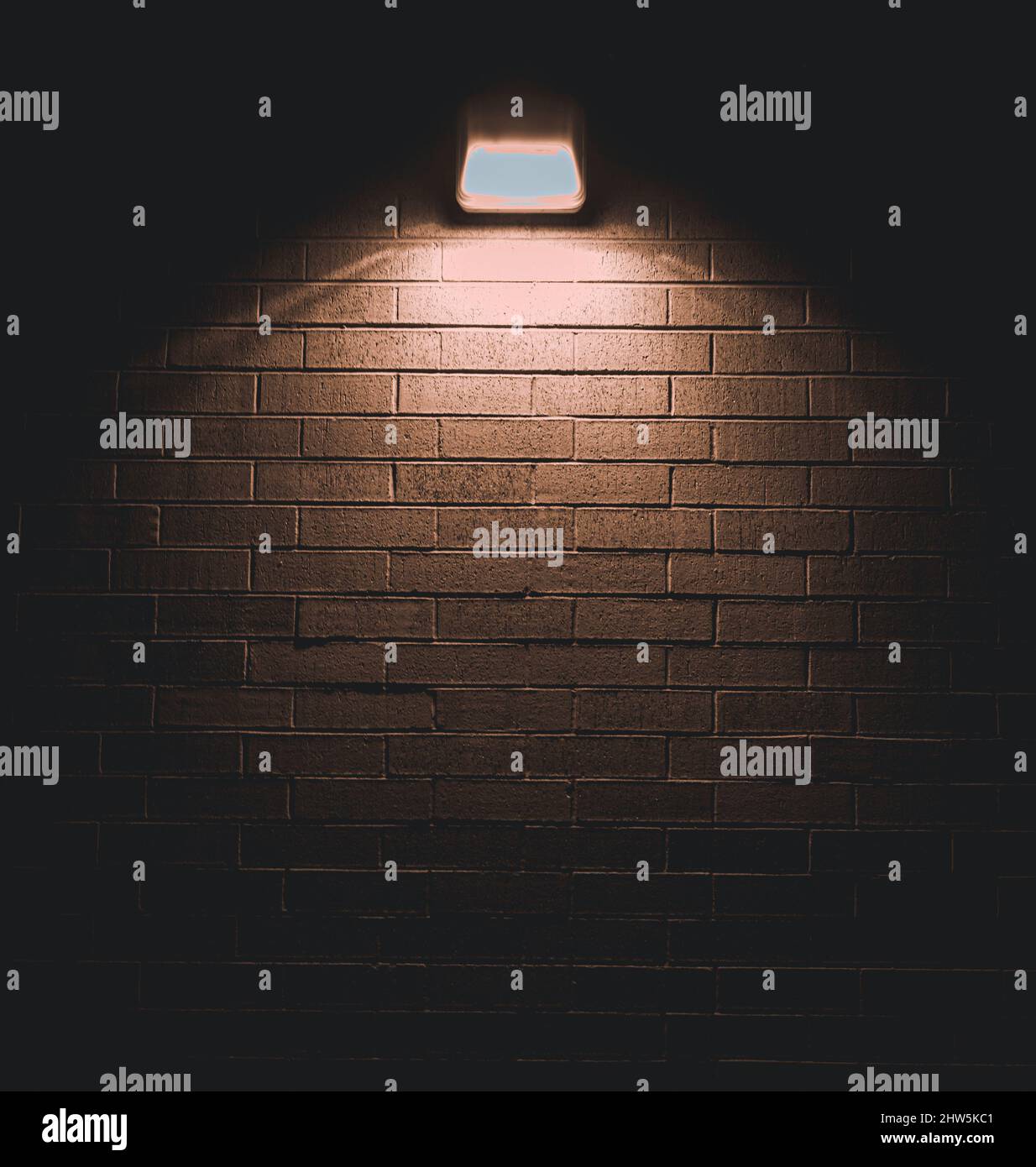 Des photos nocturnes en hiver Banque D'Images