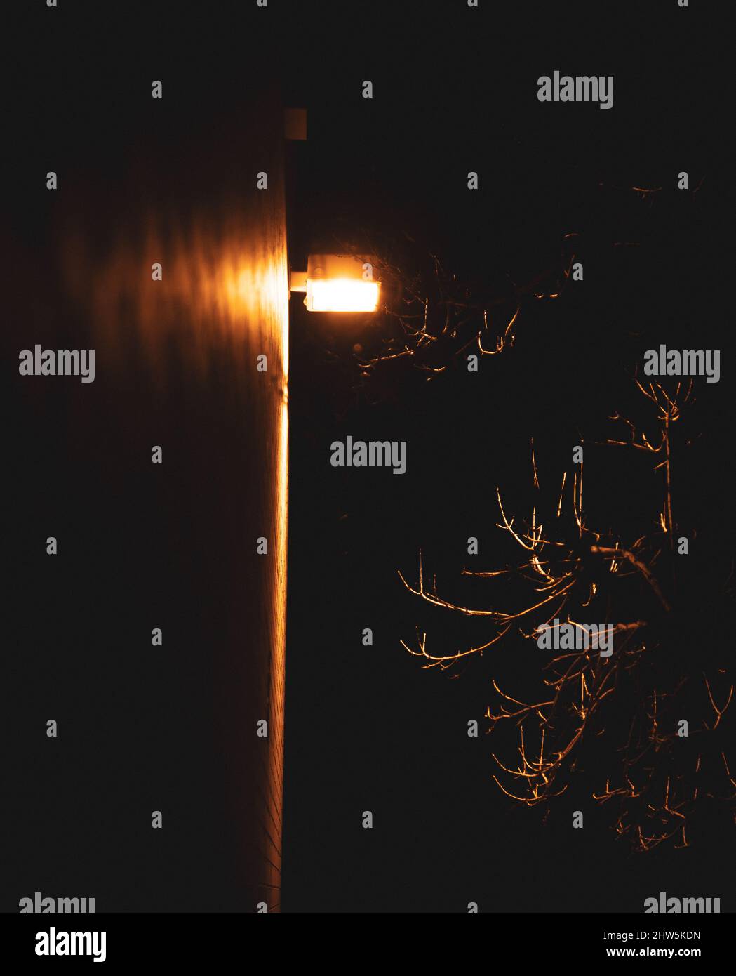 Des photos nocturnes en hiver Banque D'Images