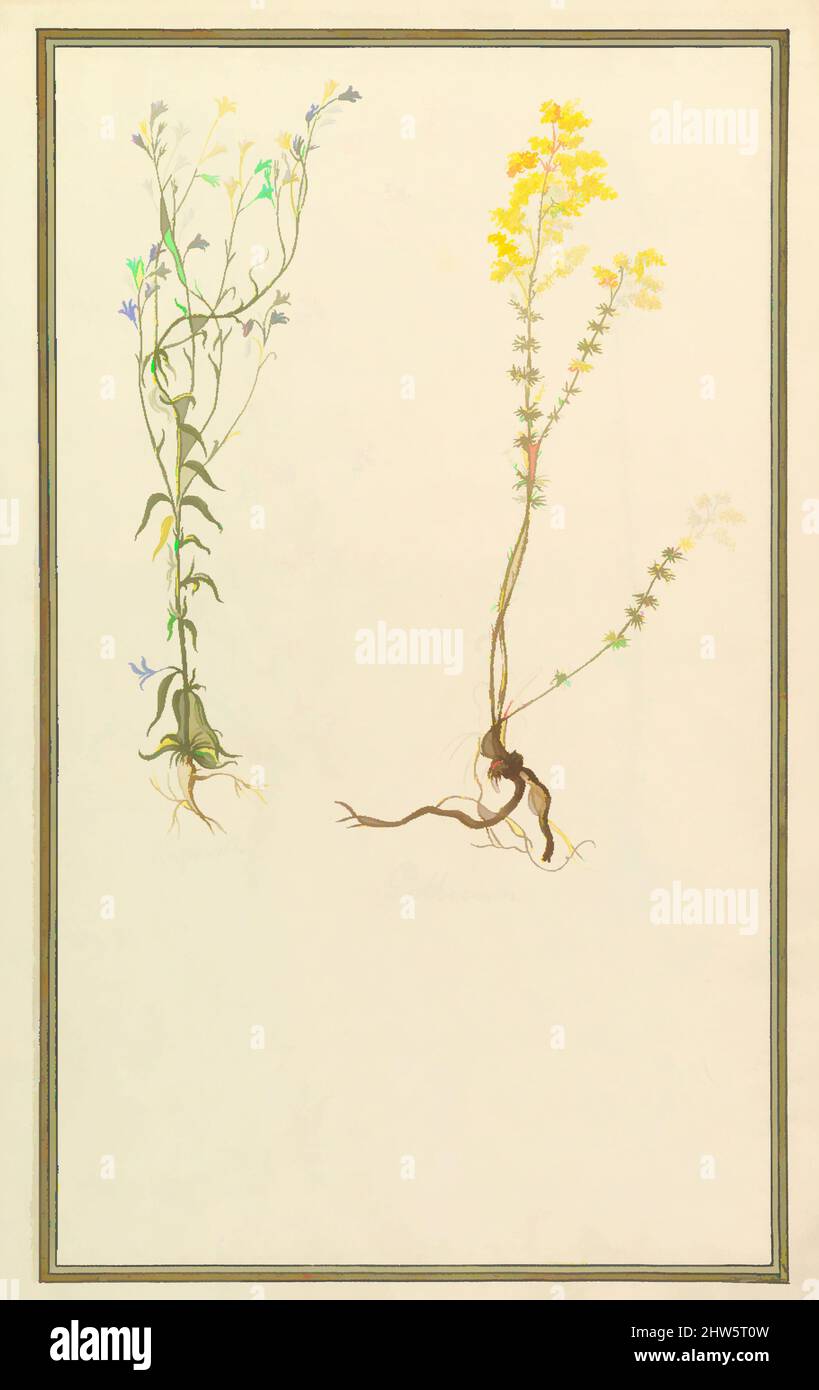 Art inspiré par les études botaniques, ca. 1820, aquarelle sur graphite, 19 7/16 x 12 11/16 po. (49,4 x 32,2 cm), dessins, anonymes, français, 19th siècle, Œuvres classiques modernisées par Artotop avec une touche de modernité. Formes, couleur et valeur, impact visuel accrocheur sur l'art émotions par la liberté d'œuvres d'art d'une manière contemporaine. Un message intemporel qui cherche une nouvelle direction créative. Artistes qui se tournent vers le support numérique et créent le NFT Artotop Banque D'Images