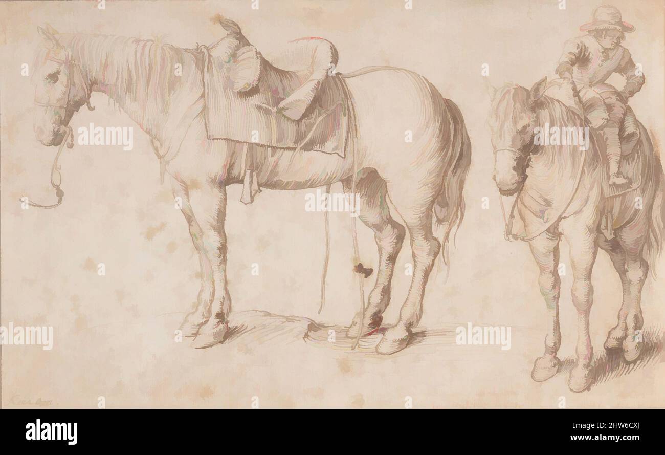 Art inspiré par deux études d'un cheval attristé et d'un cheval avec un âne de garçon; verso: Étude d'une plante de haricot, ca. 1602, stylo et encre brune; verso : stylo et encre brune, aquarelle verte et brune, lavage gris, feuille : 6 15/16 x 11 5/16 po. (17,7 x 28,7 cm), dessins, Jacques de Gheyn II (, oeuvres classiques modernisées par Artotop avec une touche de modernité. Formes, couleur et valeur, impact visuel accrocheur sur l'art émotions par la liberté d'œuvres d'art d'une manière contemporaine. Un message intemporel qui cherche une nouvelle direction créative. Artistes qui se tournent vers le support numérique et créent le NFT Artotop Banque D'Images