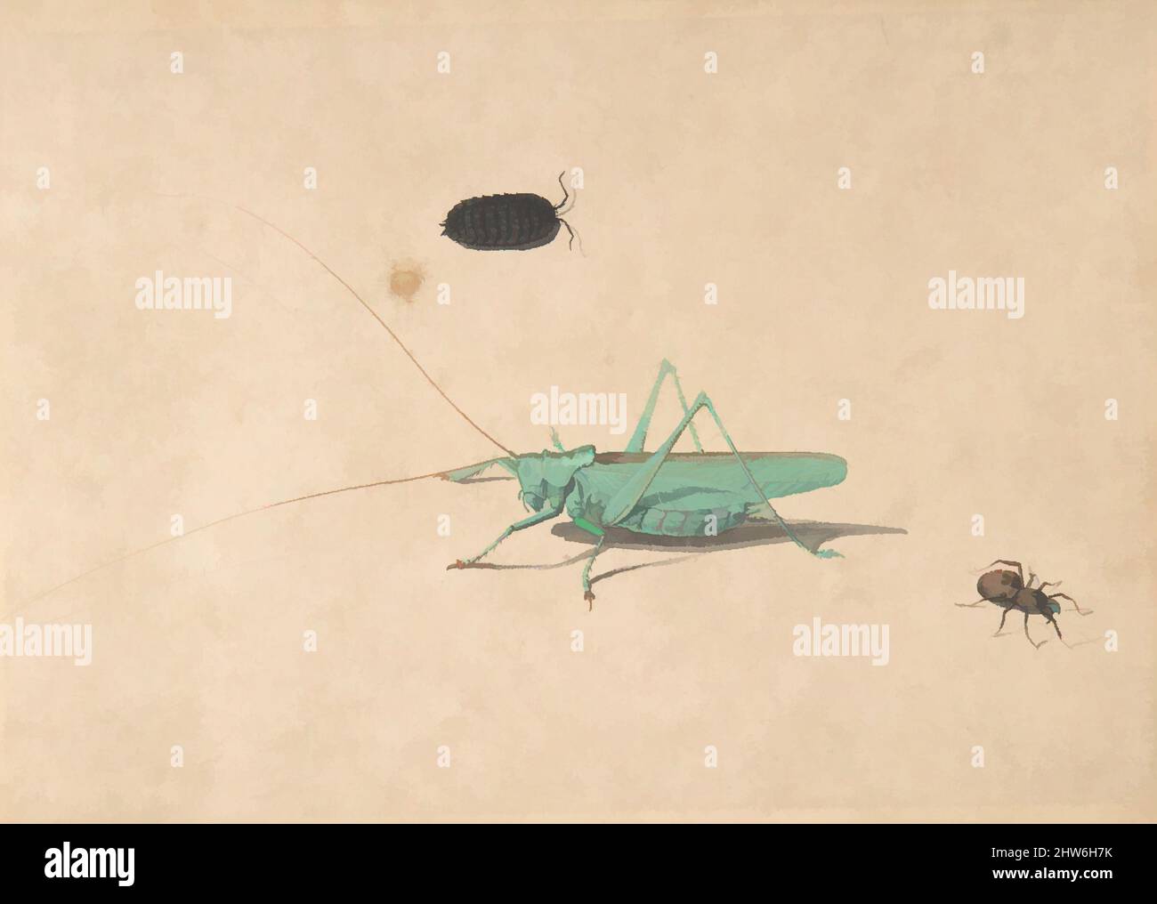 Art inspiré par Un grand Green Bush Cricket (Tetigorica viridissima Linneaeus), Un Clioniona Spider, et un Beetle, 17th Century (?), stylo et encre, aquarelle et gouache, feuille : 4 3/4 x 6 11/16 po. (12 x 17 cm), dessins, Anonymous, Néerlandais, 17th Century, Œuvres classiques modernisées par Artotop avec une touche de modernité. Formes, couleur et valeur, impact visuel accrocheur sur l'art émotions par la liberté d'œuvres d'art d'une manière contemporaine. Un message intemporel qui cherche une nouvelle direction créative. Artistes qui se tournent vers le support numérique et créent le NFT Artotop Banque D'Images