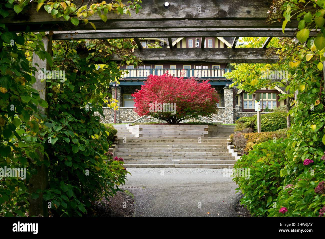 Couleurs d'automne aux jardins Century au parc Deer Lake à Burnaby, Colombie-Britannique, Canada. Banque D'Images