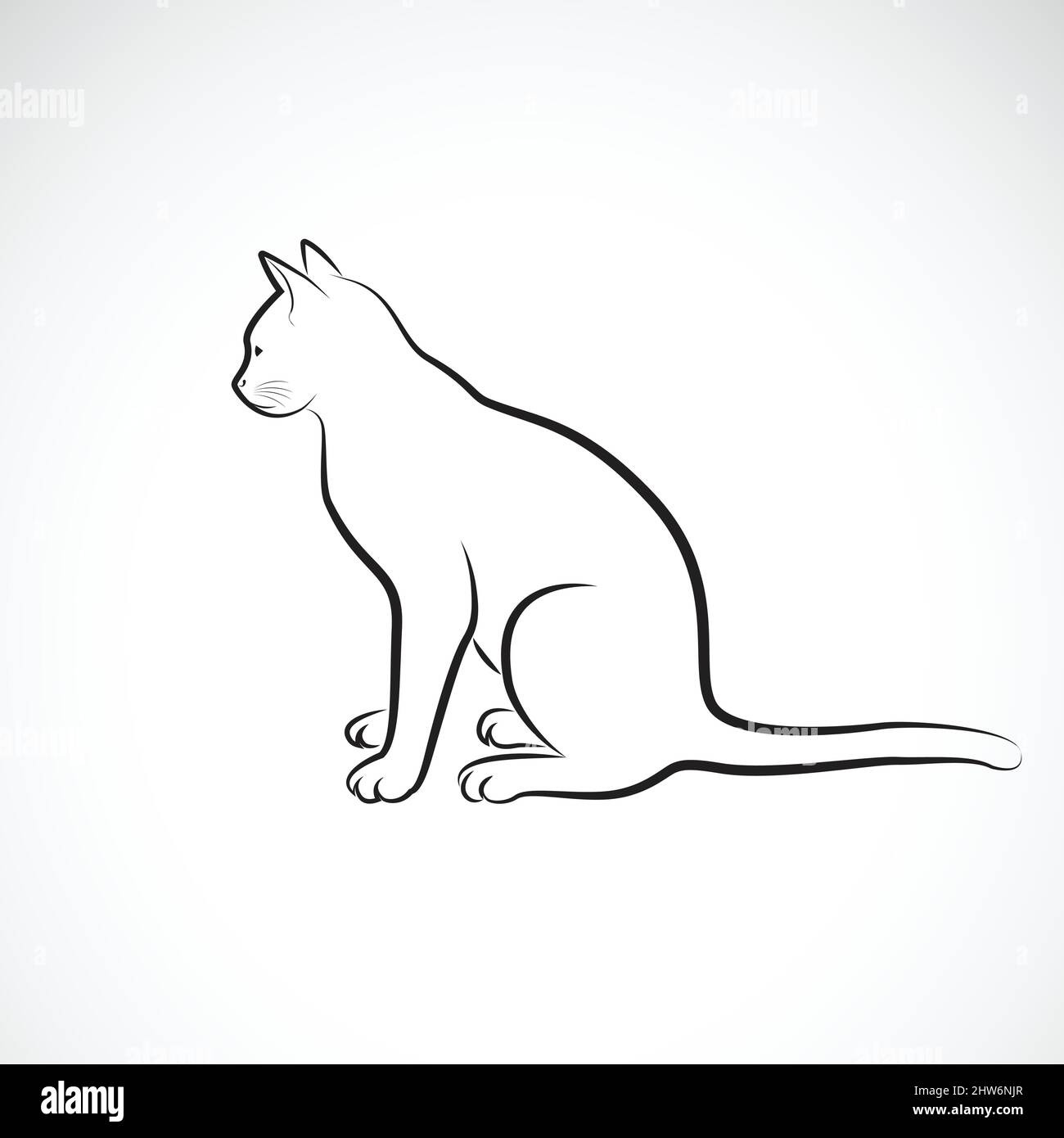 Vecteur de chat assis sur un fond blanc. Animaux de compagnie. Animaux. Logo ou icône chats. Illustration vectorielle superposée facile à modifier. Illustration de Vecteur