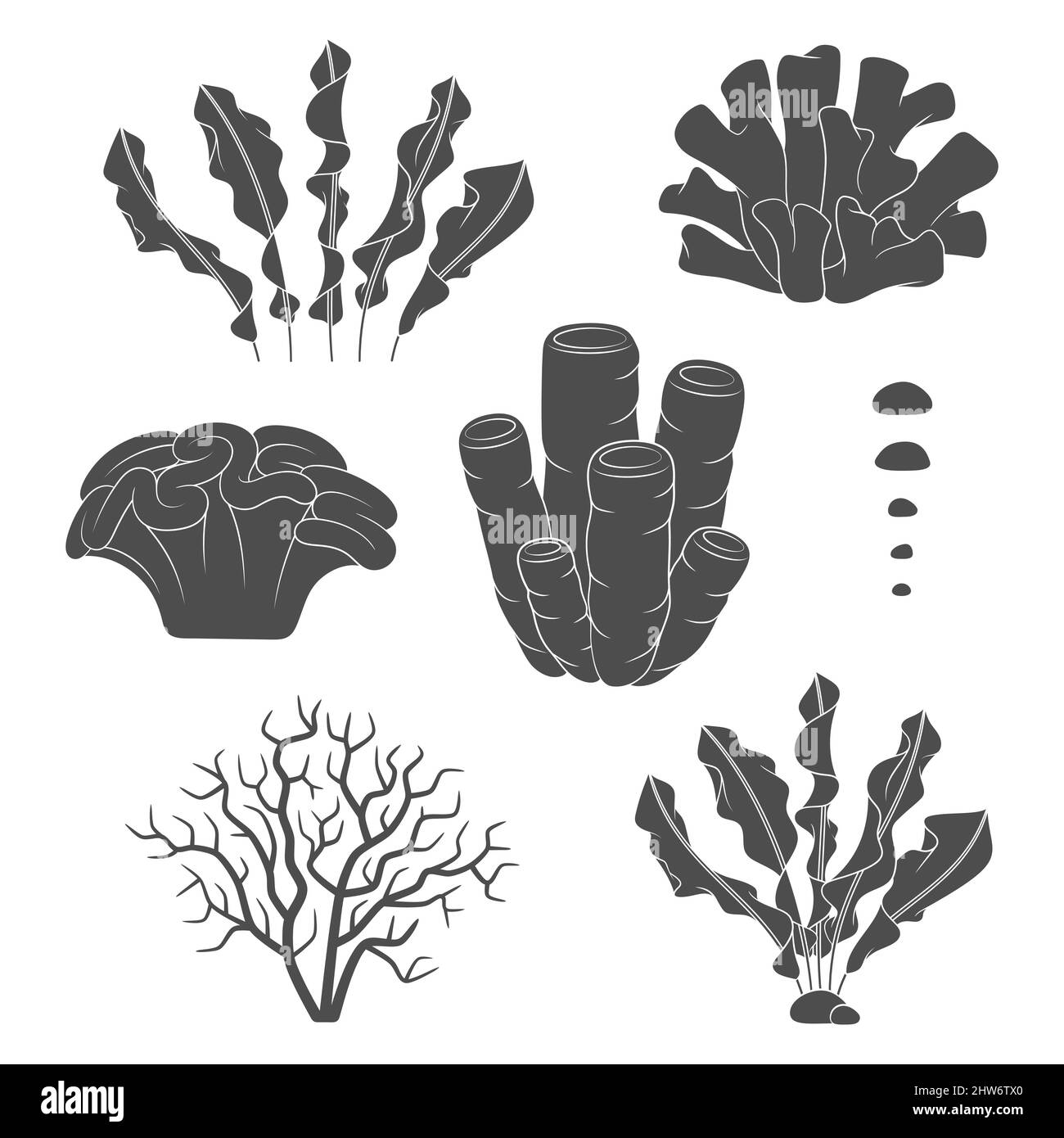 Jeu d'illustrations en noir et blanc avec coraux et algues.Objets vectoriels isolés sur fond blanc. Illustration de Vecteur