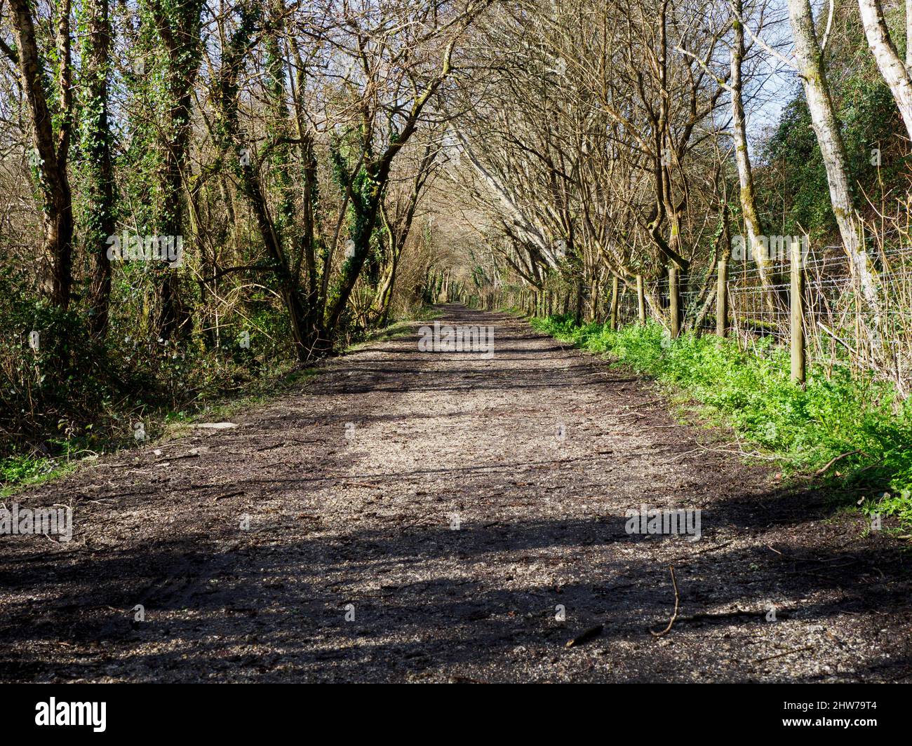 Pentewan Valley Trail, Cornwall, Royaume-Uni Banque D'Images