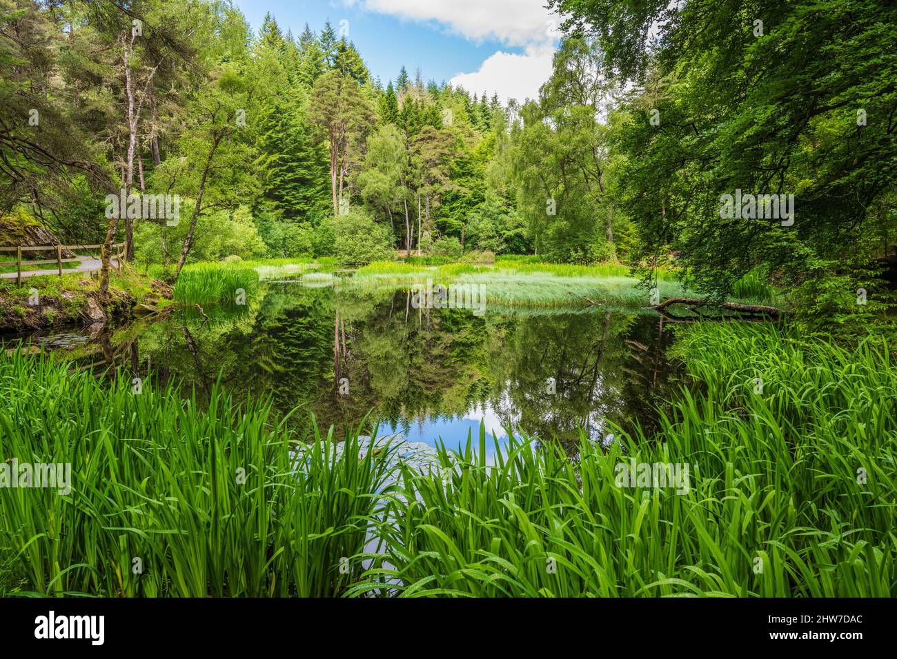 L'eau se précipite sur la rive du Loch Dunmore, dans la forêt de Faskally, près de Pitlochry, dans le Perthshire, en Écosse, au Royaume-Uni Banque D'Images