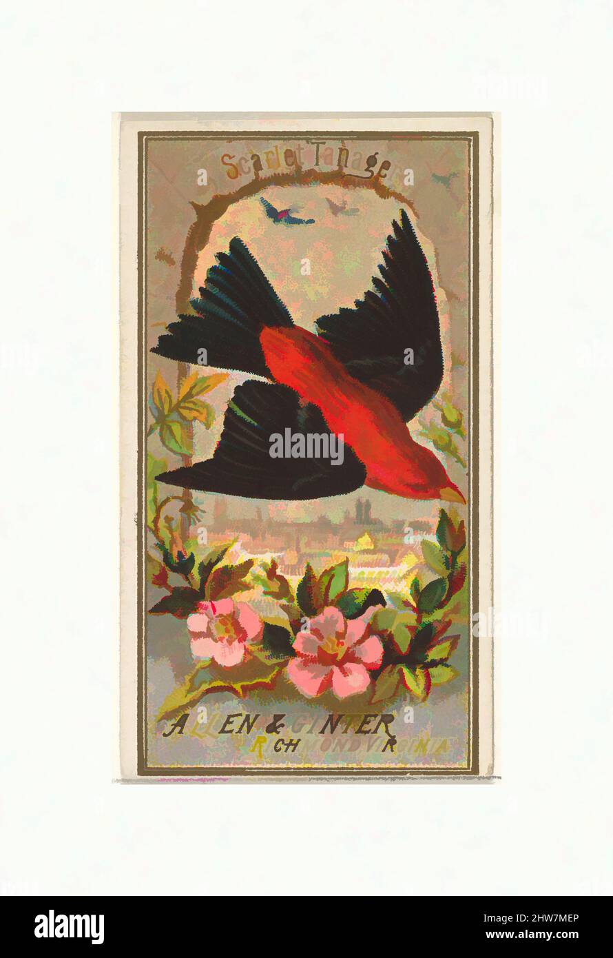 Art inspiré par Scarlet Tanager, de la série Birds of America (N4) pour Allen & Ginter cigarettes Brands, 1888, lithographie couleur commerciale, feuille : 2 3/4 x 1 1/2 po. (7 x 3,8 cm), cartes professionnelles de la série 'Birds of America' (N4), émises en 1888 dans une série de 50 cartes à promouvoir, œuvres classiques modernisées par Artotop avec un peu de modernité. Formes, couleur et valeur, impact visuel accrocheur sur l'art émotions par la liberté d'œuvres d'art d'une manière contemporaine. Un message intemporel qui cherche une nouvelle direction créative. Artistes qui se tournent vers le support numérique et créent le NFT Artotop Banque D'Images