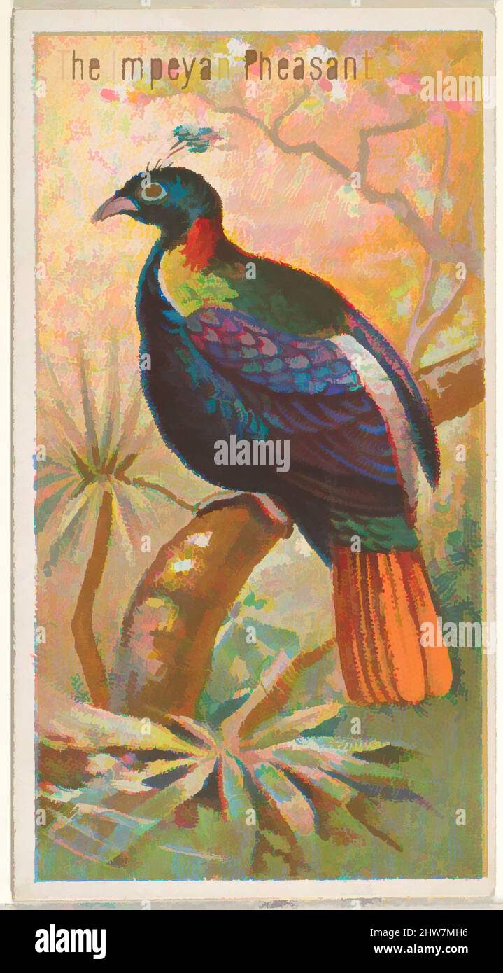 Art inspiré par l'Impeyan Pheasant, de la série Birds of the Tropics (N5) pour Allen & Ginter cigarettes Brands, 1889, lithographie couleur commerciale, feuille : 2 3/4 x 1 1/2 po. (7 x 3,8 cm), cartes professionnelles de la série "oiseaux des Tropiques" (N5), émises en 1889 en une série de 50, oeuvres classiques modernisées par Artotop avec un peu de modernité. Formes, couleur et valeur, impact visuel accrocheur sur l'art émotions par la liberté d'œuvres d'art d'une manière contemporaine. Un message intemporel qui cherche une nouvelle direction créative. Artistes qui se tournent vers le support numérique et créent le NFT Artotop Banque D'Images