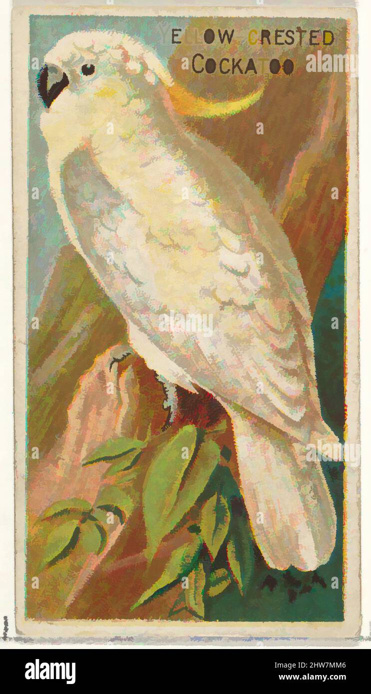 Art inspiré par Yellow-Crested Cockatoo, de la série Birds of the Tropics (N5) pour Allen & Ginter cigarettes Brands, 1889, lithographie couleur commerciale, feuille : 2 3/4 x 1 1/2 po. (7 x 3,8 cm), cartes professionnelles de la série "oiseaux des Tropiques" (N5), émises en 1889 en une série de 50, oeuvres classiques modernisées par Artotop avec un peu de modernité. Formes, couleur et valeur, impact visuel accrocheur sur l'art émotions par la liberté d'œuvres d'art d'une manière contemporaine. Un message intemporel qui cherche une nouvelle direction créative. Artistes qui se tournent vers le support numérique et créent le NFT Artotop Banque D'Images