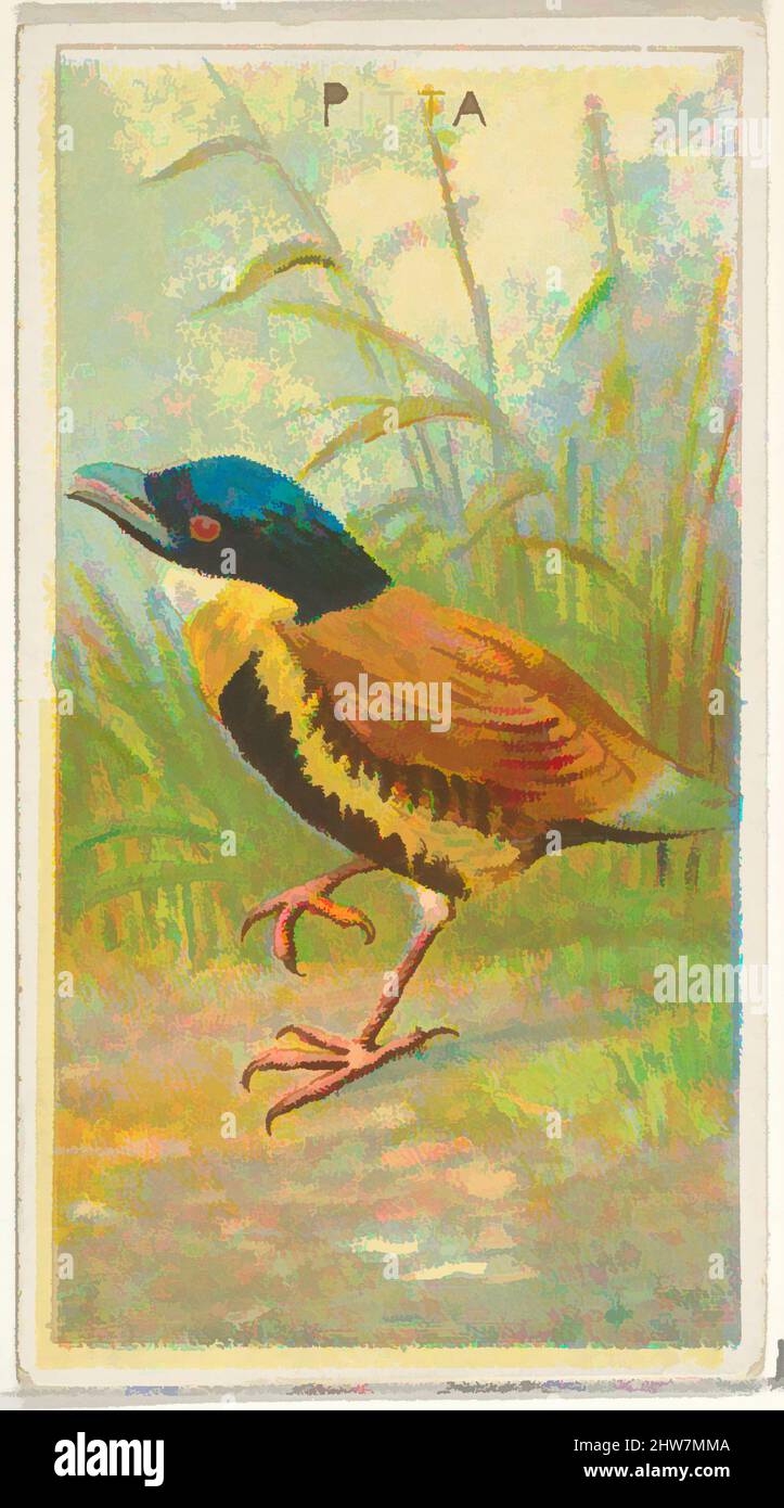 Art inspiré par Pitta, de la série Birds of the Tropics (N5) pour Allen & Ginter cigarettes Brands, 1889, lithographie couleur commerciale, feuille : 2 3/4 x 1 1/2 po. (7 x 3,8 cm), cartes professionnelles de la série "oiseaux des Tropiques" (N5), émises en 1889 dans une série de 50 cartes à promouvoir, oeuvres classiques modernisées par Artotop avec un peu de modernité. Formes, couleur et valeur, impact visuel accrocheur sur l'art émotions par la liberté d'œuvres d'art d'une manière contemporaine. Un message intemporel qui cherche une nouvelle direction créative. Artistes qui se tournent vers le support numérique et créent le NFT Artotop Banque D'Images
