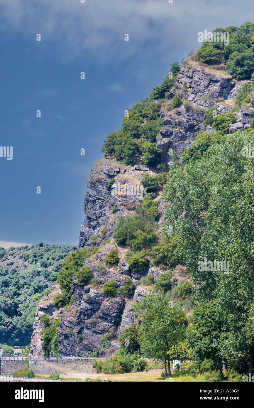 Rhin, l'Allemagne. La Lorelei. Banque D'Images