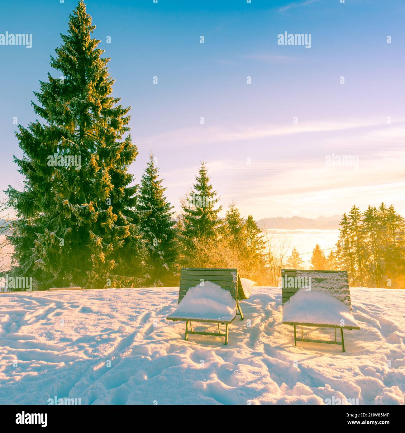 Hiver dans le parc. Bancs dans la neige. Dérives profondes. Banque D'Images