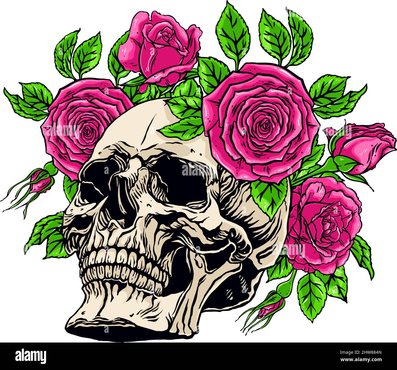 illustration dessinée à la main de l'anatomie du crâne humain avec une mâchoire inférieure et une couronne de roses Illustration de Vecteur