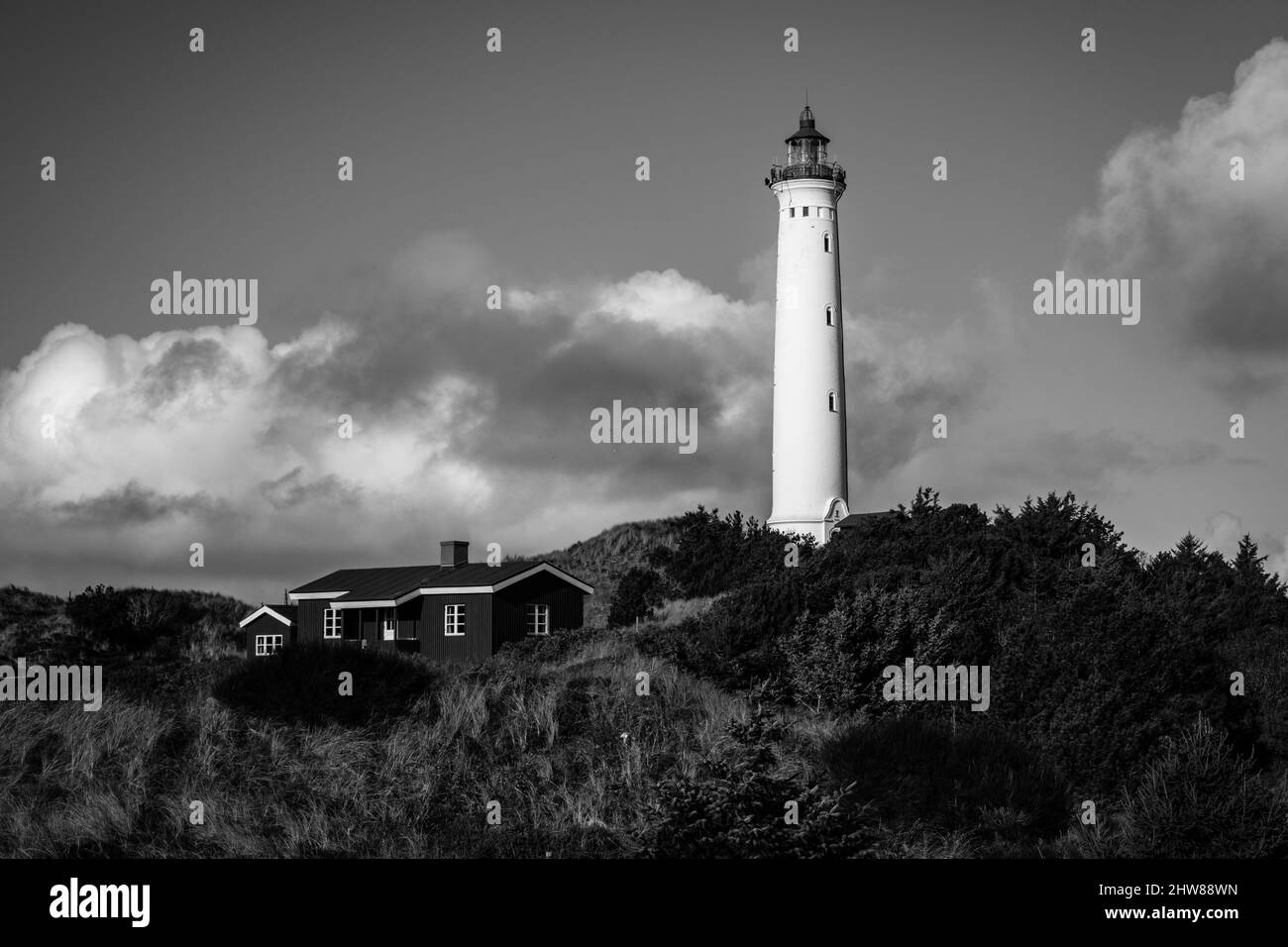 Phare de Lyngvig FYR dans la ribe du danemark près de henne, debout dans les dunes de sable Banque D'Images