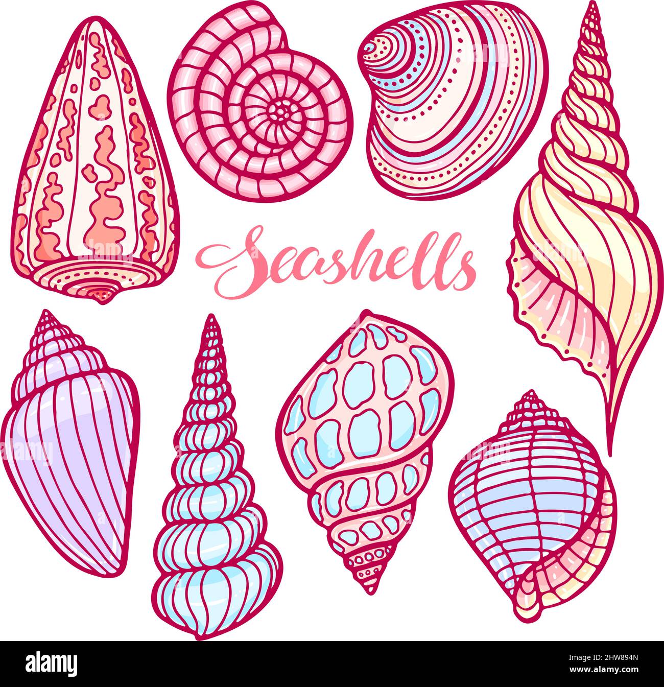 magnifique ensemble de coquillages colorés. illustration dessinée à la main Illustration de Vecteur
