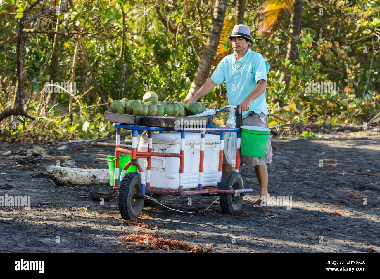 Un fournisseur local de produits alimentaires Costa-ricien vend des noix de coco fraîches de sa cabine mobile sur la plage de Tortuguero, dans la province de Limon, au Costa Rica Banque D'Images