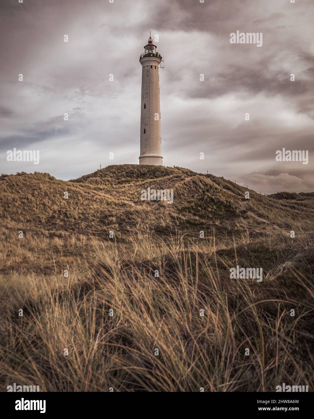 Phare de Lyngvig FYR dans la ribe du danemark près de henne, debout dans les dunes de sable Banque D'Images