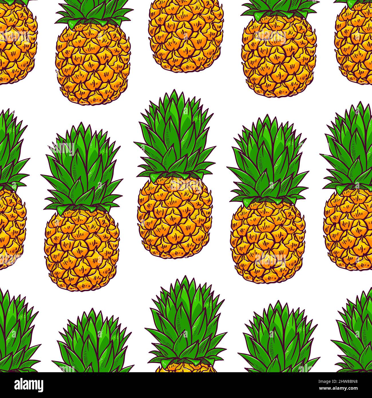 fond transparent d'ananas. illustration dessinée à la main Illustration de Vecteur