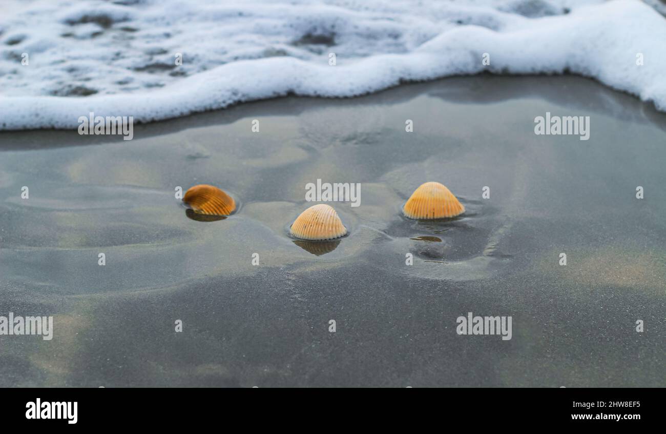 L'enfer sur le sable de la plage, à moitié enterré dans le sable comme la vague de la mer le frappe, et les vagues de la mer dans l'arrière. Banque D'Images