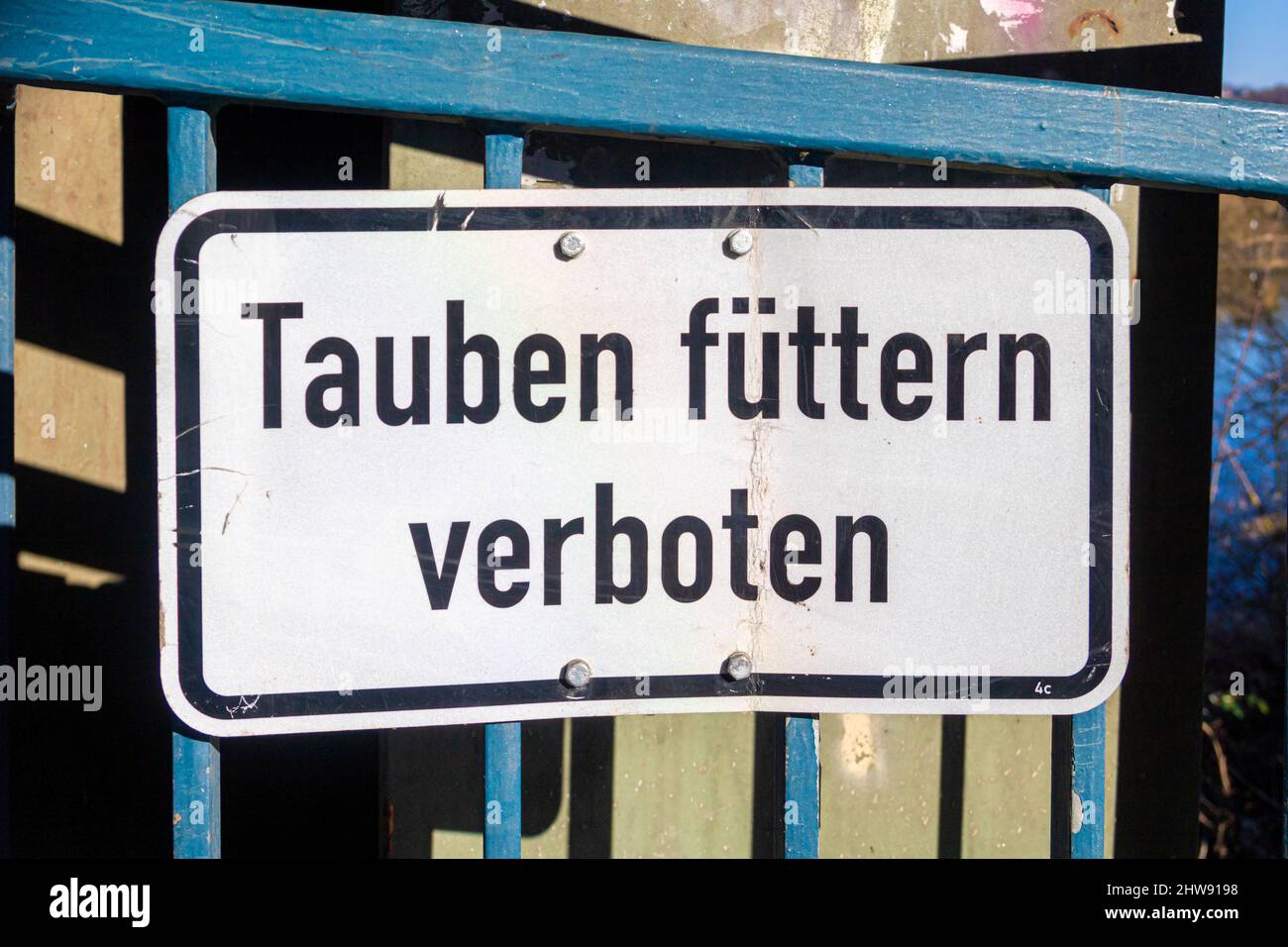 signe blanc avec l'inscription 'alimentation des pigeons interdite' en langue allemande sur une rambarde de pont bleue Banque D'Images