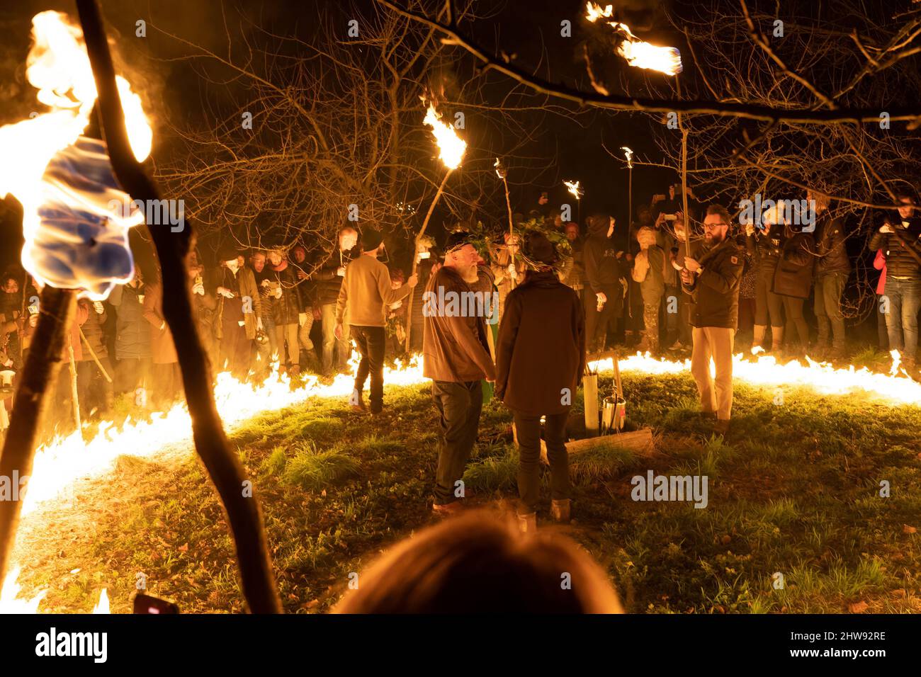 Un Wassail anglais traditionnel, une tradition d'hiver censée assurer une bonne récolte de pommes de cidre d'un verger Banque D'Images