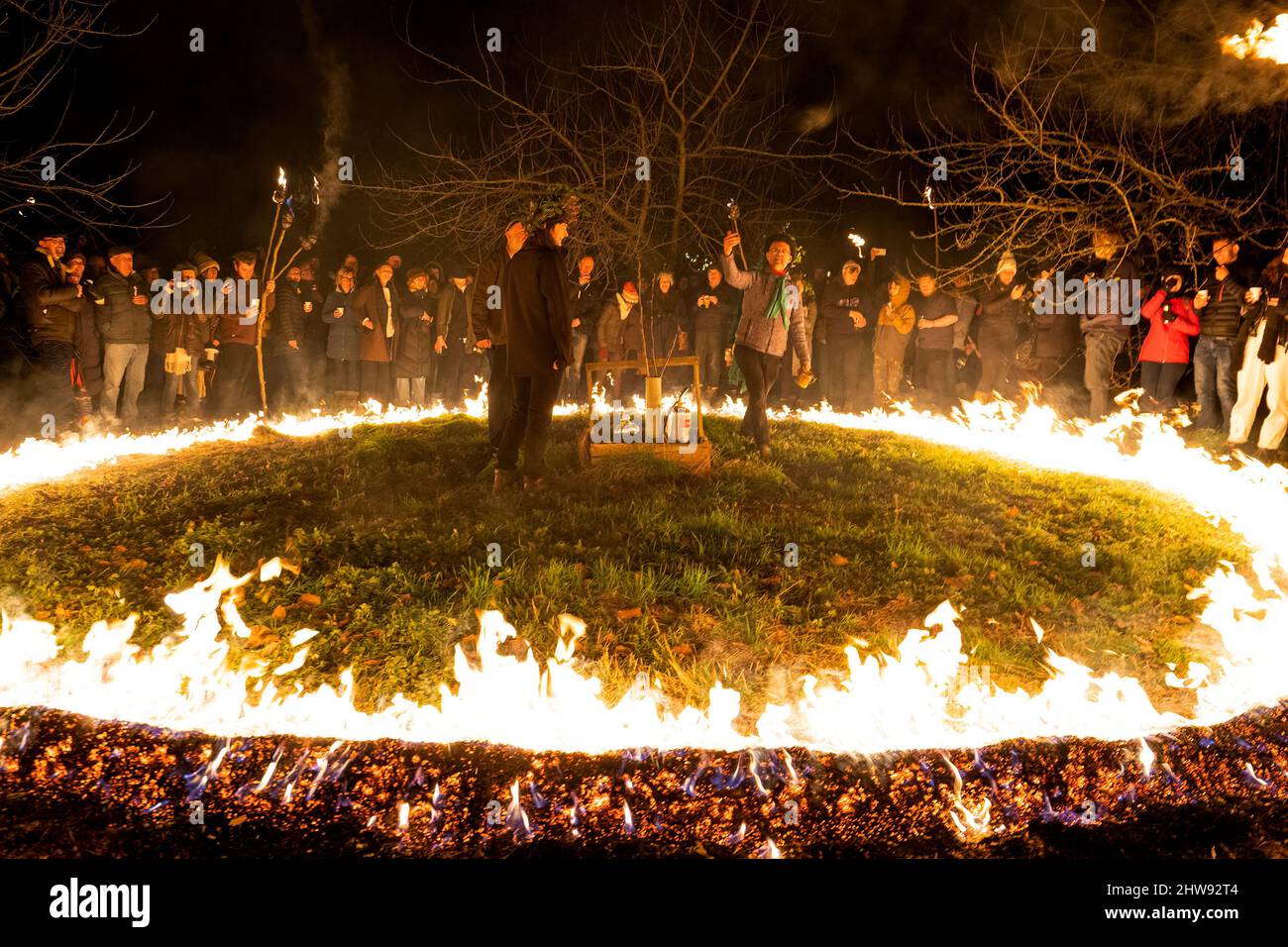 Un Wassail anglais traditionnel, une tradition d'hiver censée assurer une bonne récolte de pommes de cidre d'un verger Banque D'Images