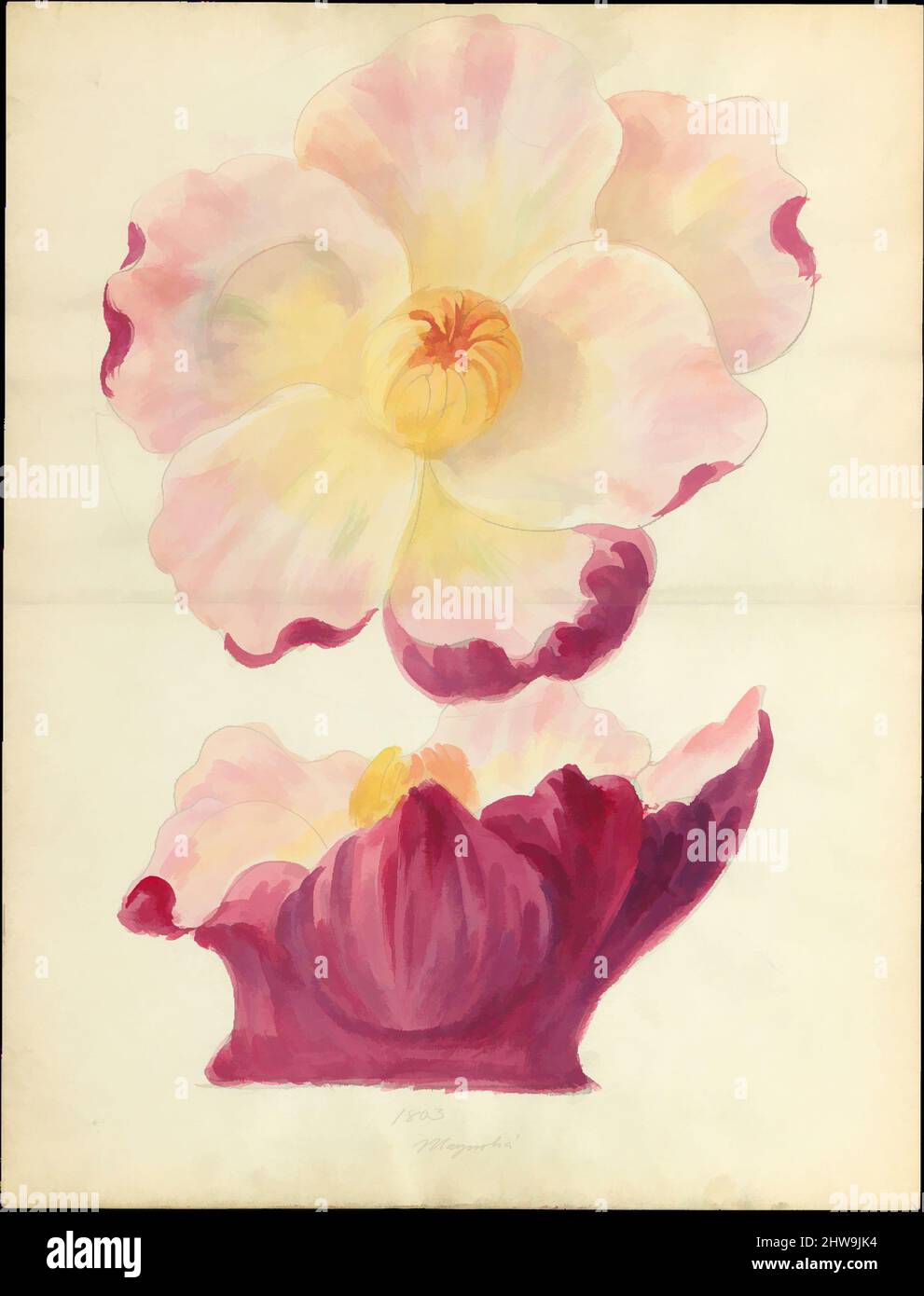 Art inspiré par le dessin de la fleur de magnolia de la capitale florale de loggia, Laurelton Hall, ca. 1900–1915, américain, aquarelle, graphite et encre sur papier, 18 3/8 x 14 po. (46,7 x 35,6 cm), dessins, Lenox, Incorporated (établi en 1889, oeuvres classiques modernisées par Artotop avec une touche de modernité. Formes, couleur et valeur, impact visuel accrocheur sur l'art émotions par la liberté d'œuvres d'art d'une manière contemporaine. Un message intemporel qui cherche une nouvelle direction créative. Artistes qui se tournent vers le support numérique et créent le NFT Artotop Banque D'Images