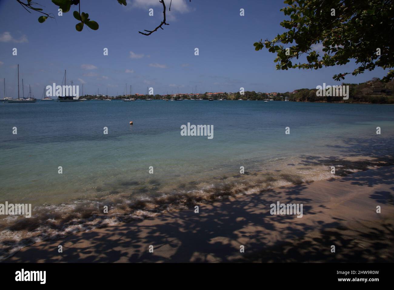 Baie de pickly Grenade Plage de l'anse aux Epines Banque D'Images