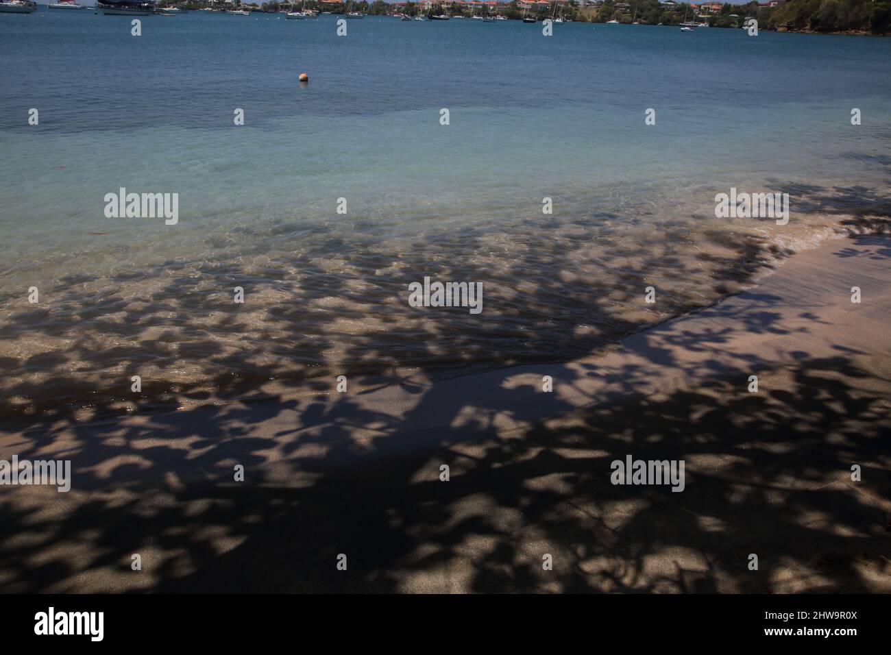Baie de pickly Grenade l'anse aux Epines Beach ombre d'arbre Banque D'Images