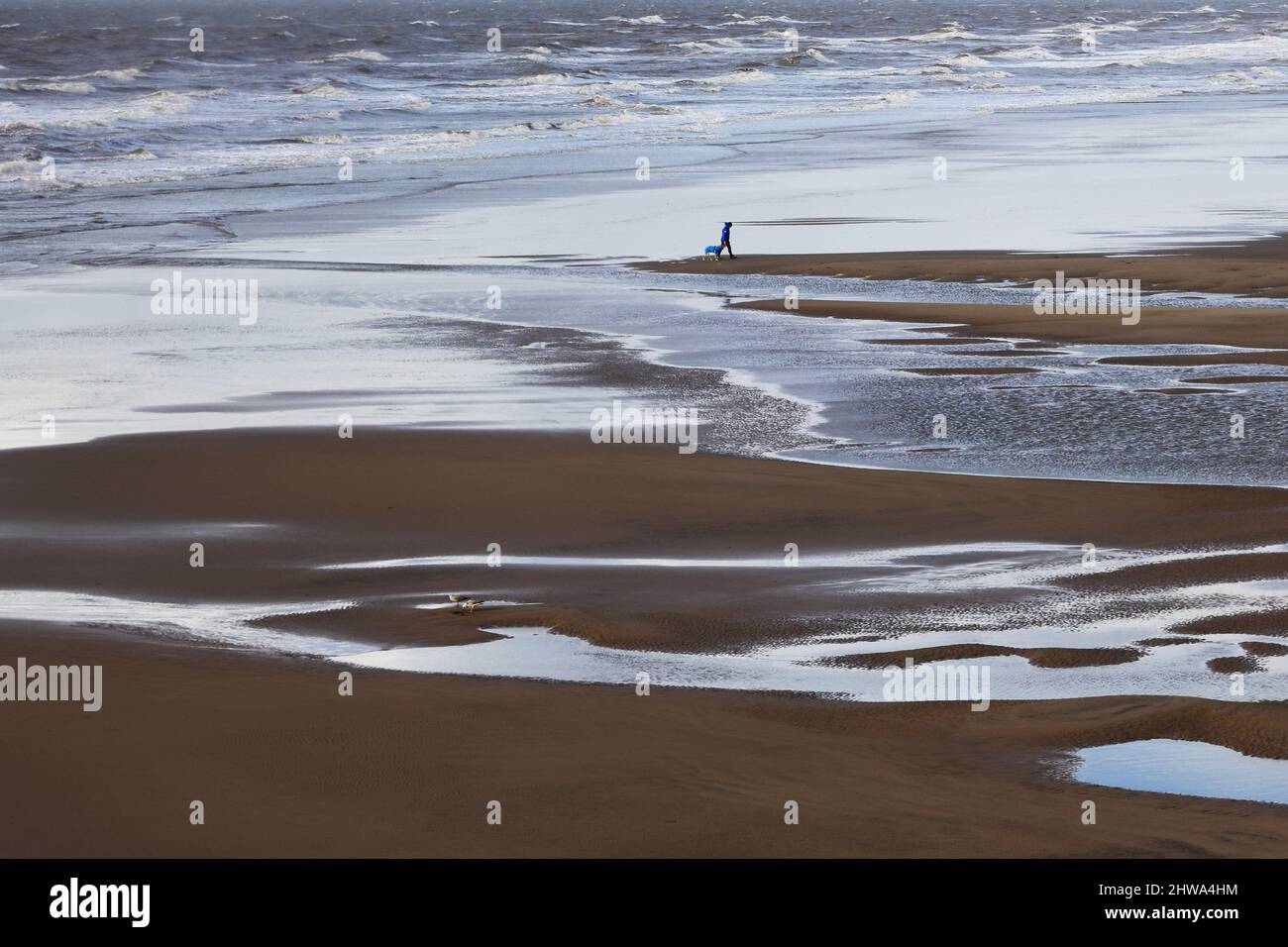Marcher le chien sur la plage de Blackpool Banque D'Images