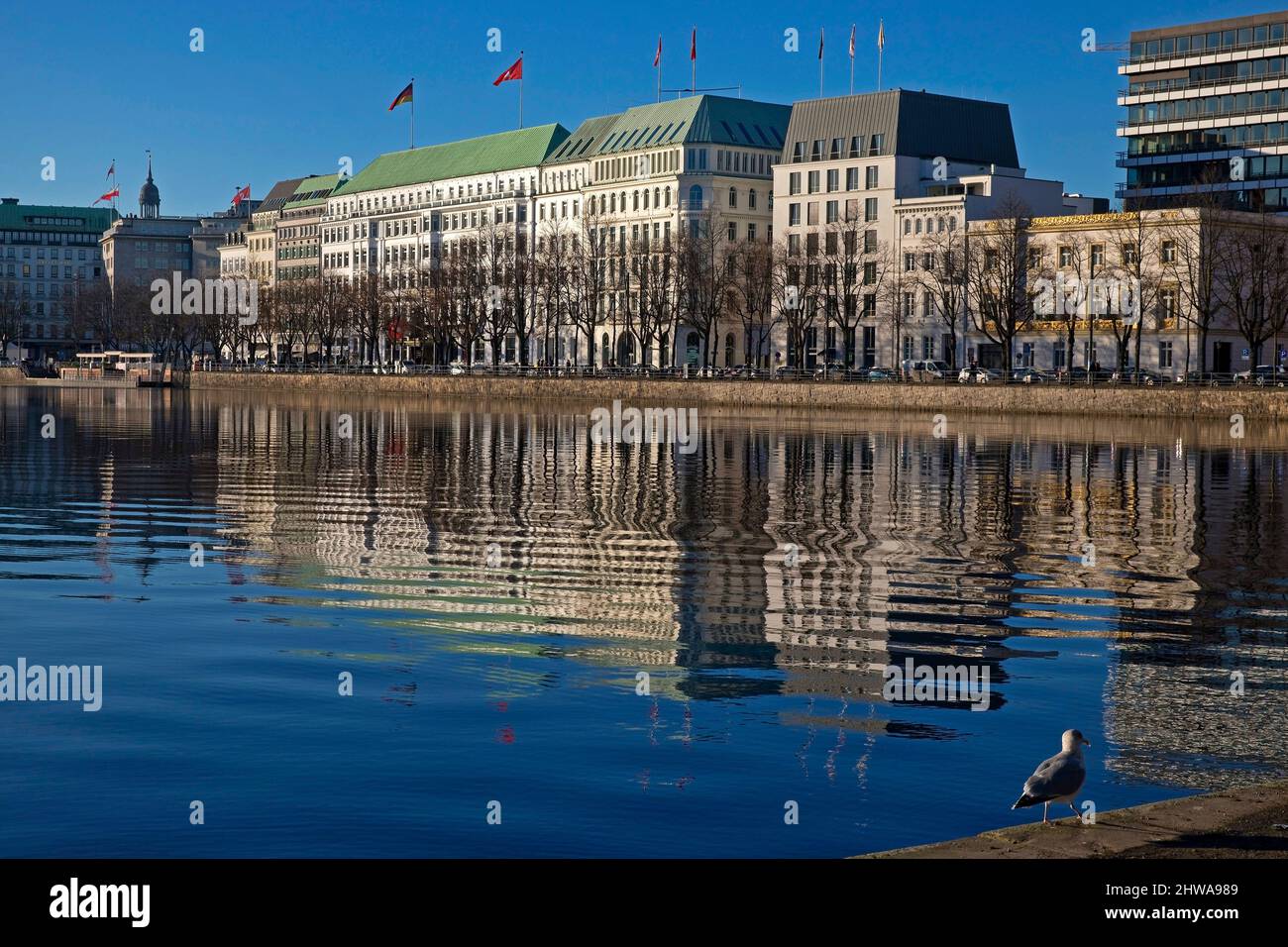 Alster intérieur avec Fairmont Hotel four Seasons, Allemagne, Hambourg Banque D'Images