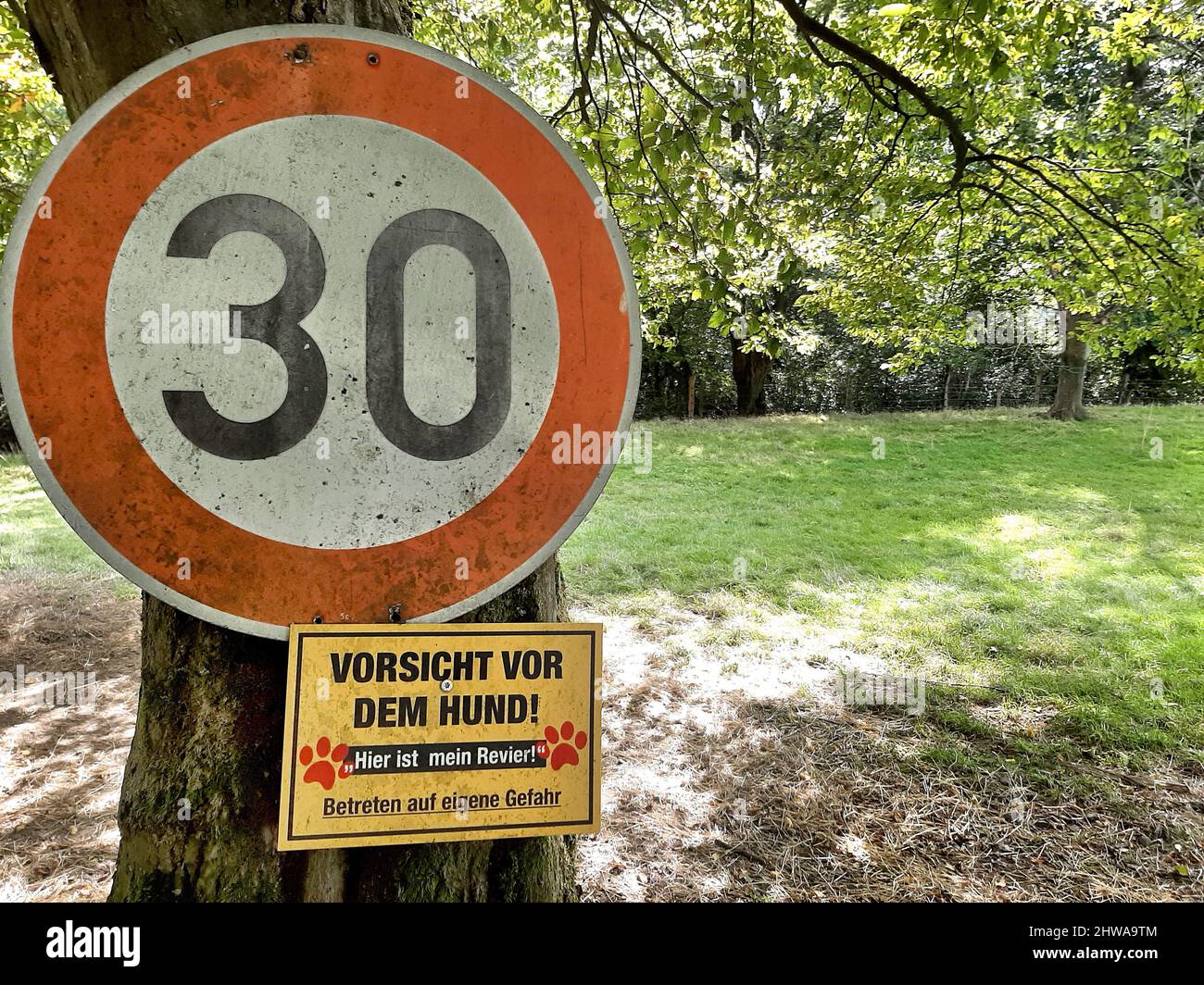 Chien domestique (Canis lupus F. familiaris), signe d'avertissement du chien de ferme, Allemagne Banque D'Images